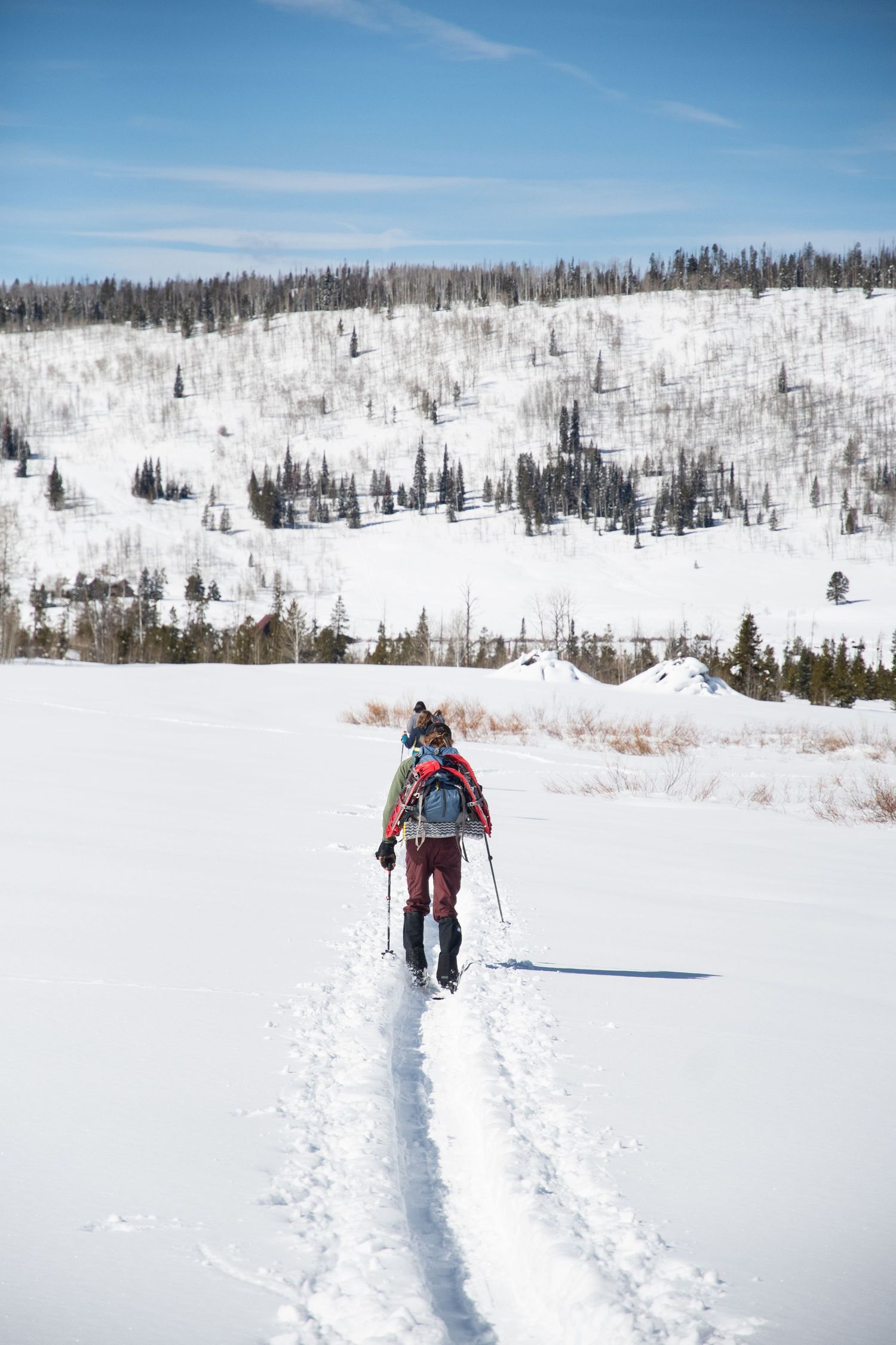 Cross-country skier making tracks through pristine snow-covered mountain landscape.