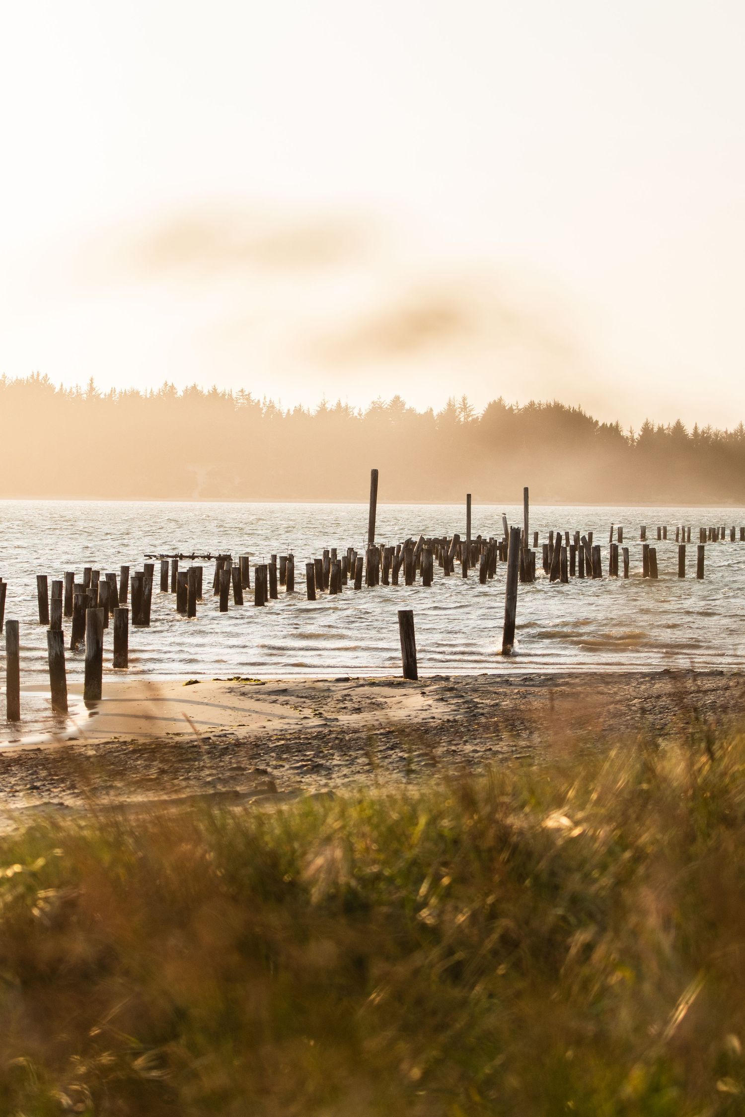 Old wooden pier posts line the misty waterfront at sunset creating a serene coastal landscape.