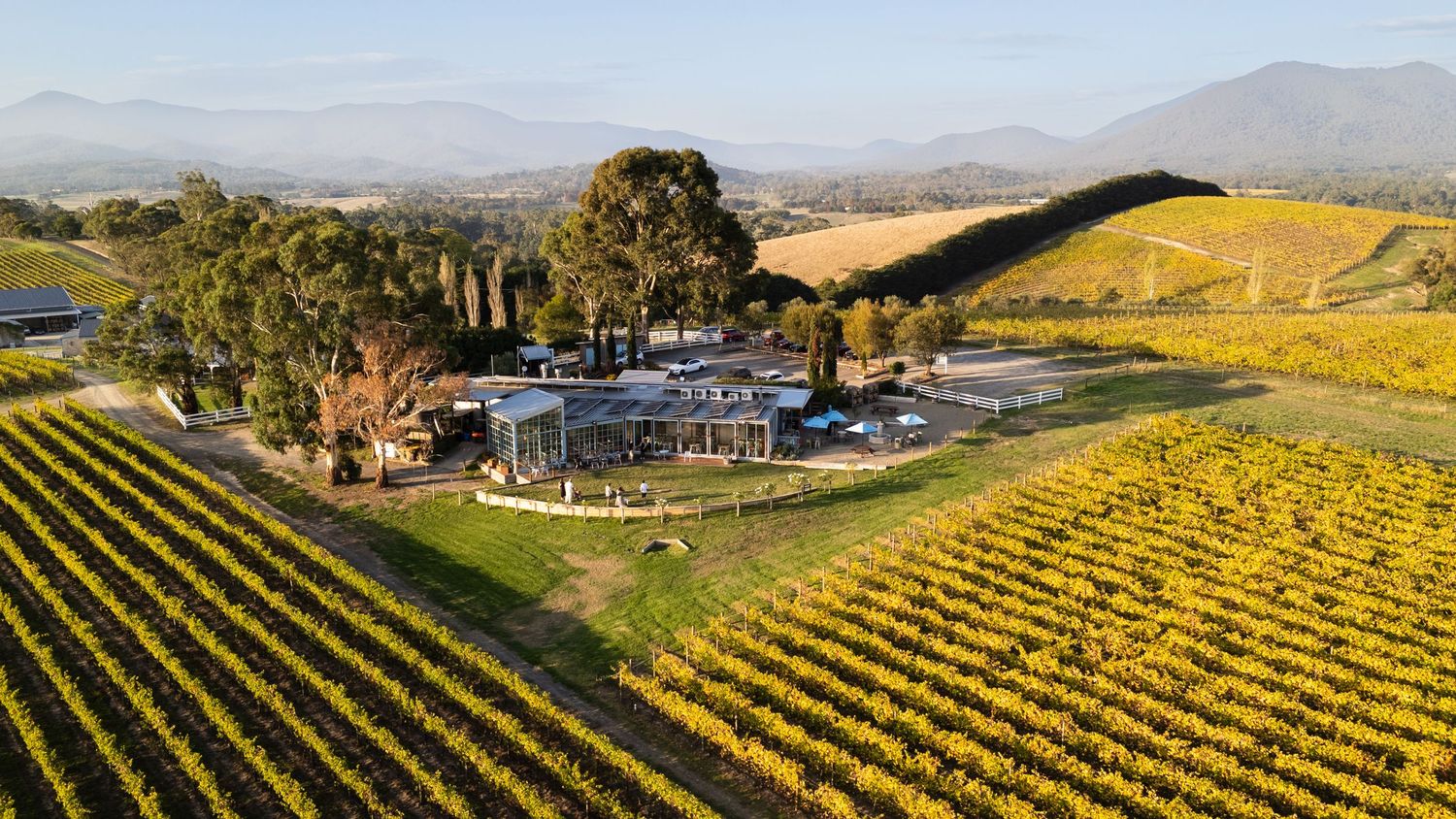Aerial view of a winery estate surrounded by golden vineyard rows with mountain backdrop in a scenic valley.