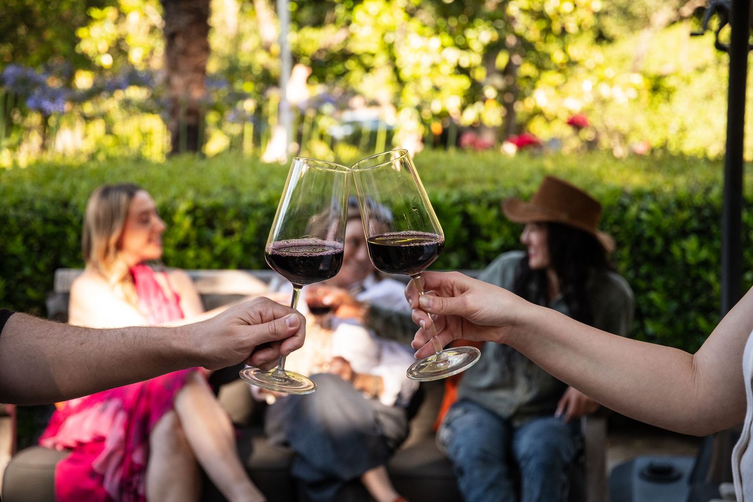 Friends toasting with red wine glasses outdoors at a sunny vineyard patio gathering.