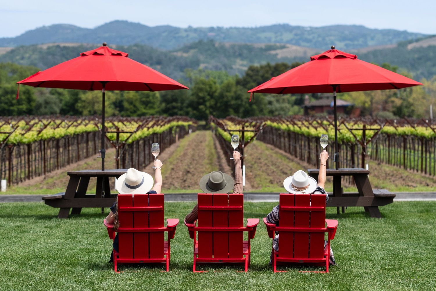 Three red chairs and umbrellas overlooking scenic vineyard and mountain landscape.