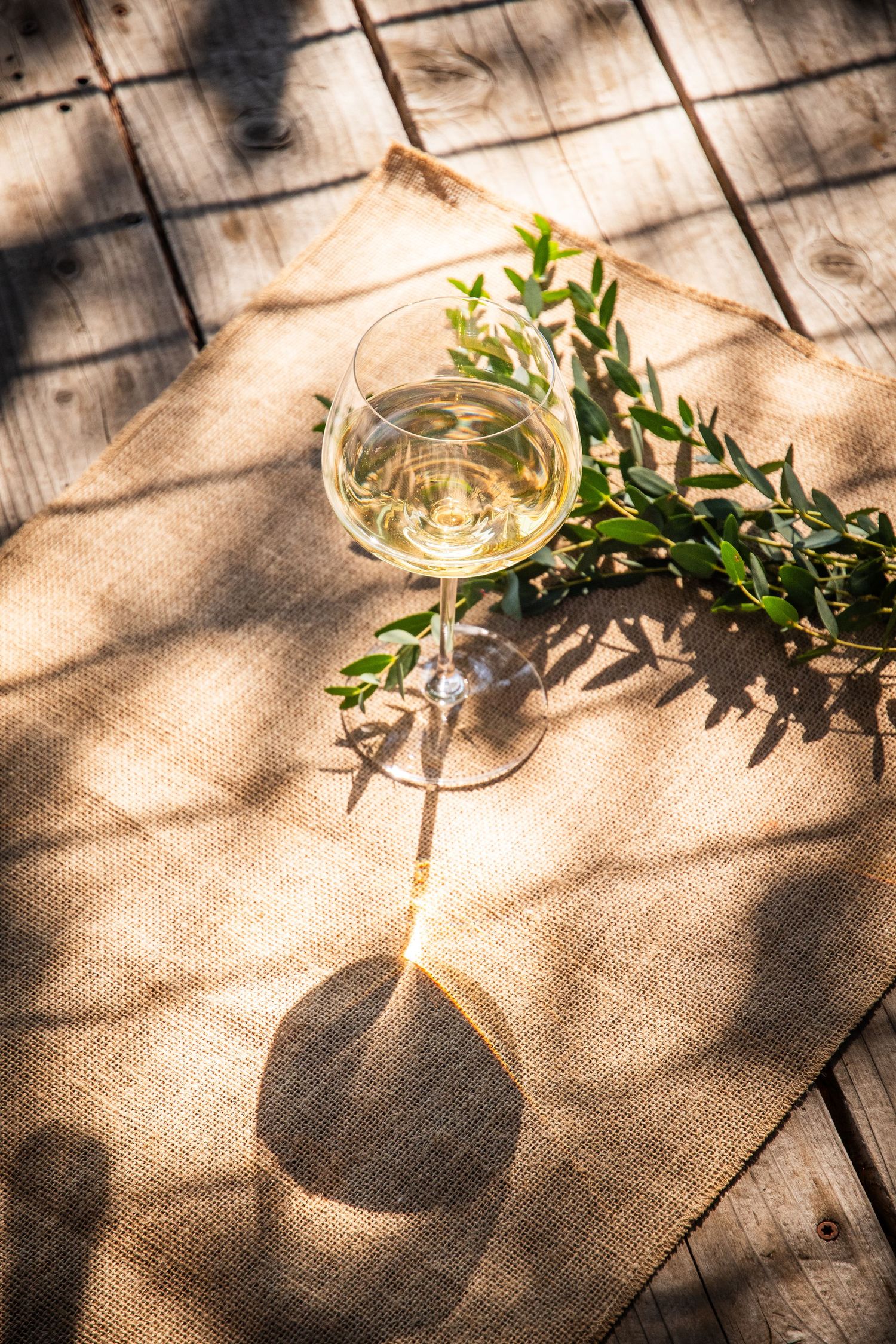 Shadows cast on a wooden table with wine glass and green foliage in natural light.