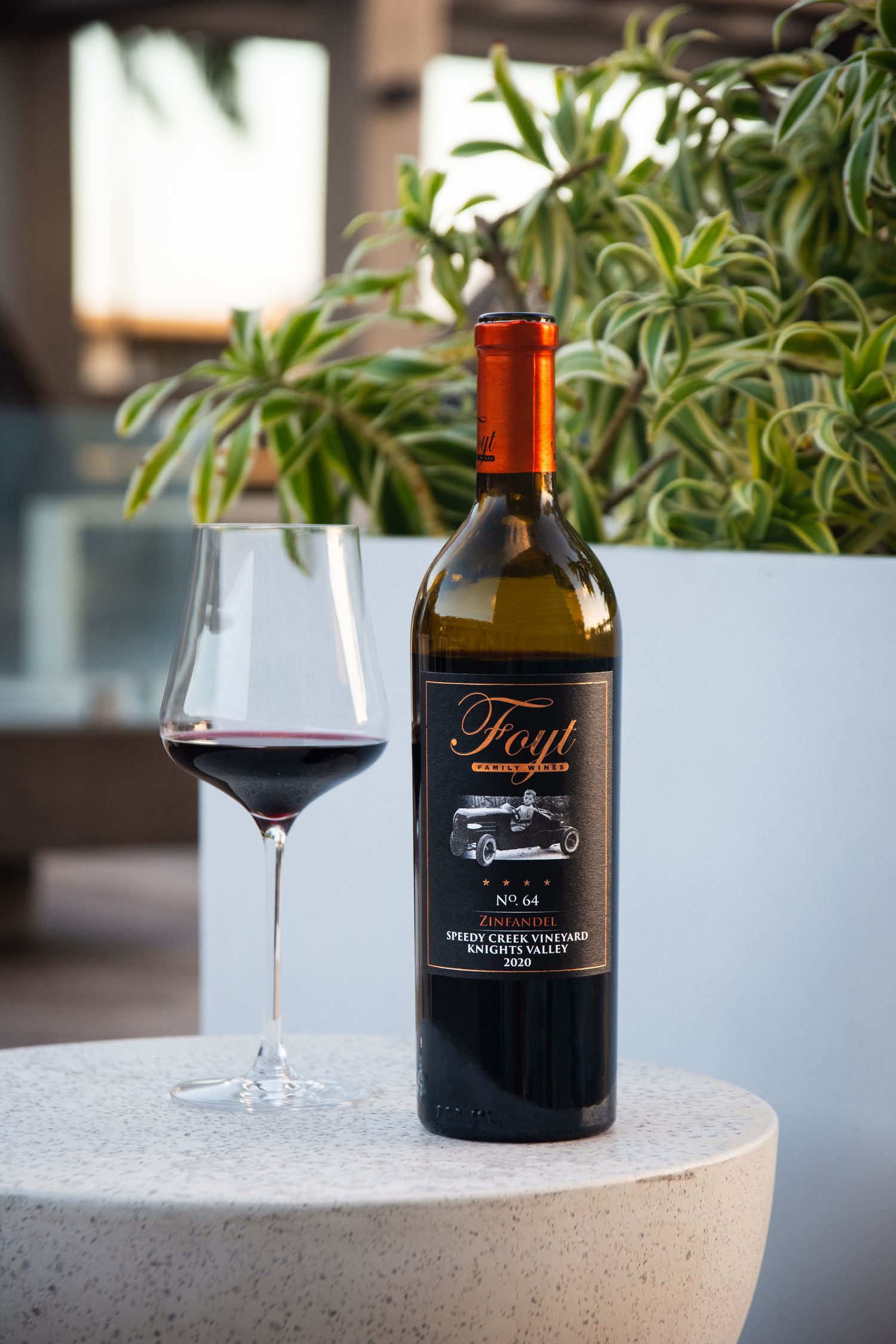 Wine bottles and glasses displayed on a concrete surface with lush plants in the background.
