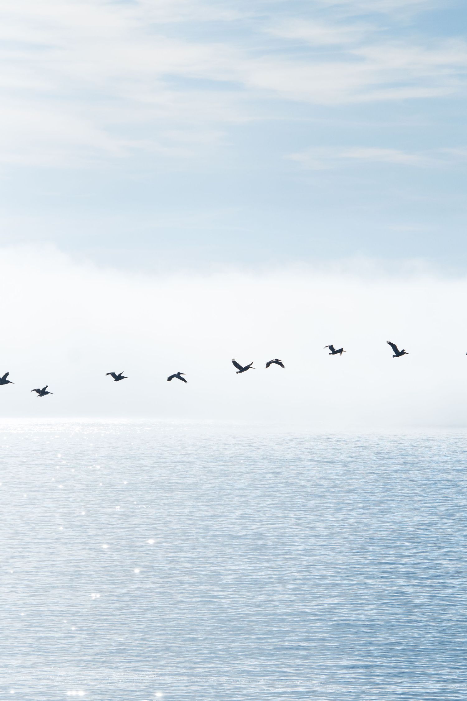Flock of birds flying over calm ocean waters against a misty blue sky.