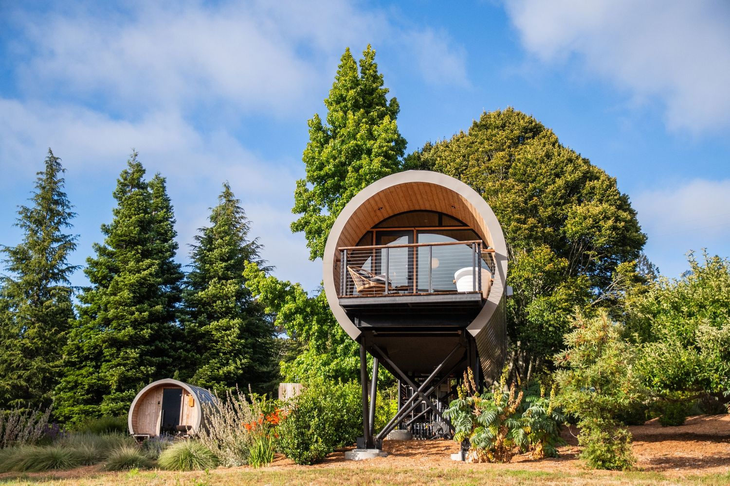 Modern treehouse pod with curved architecture nestled among tall trees in a forest setting.