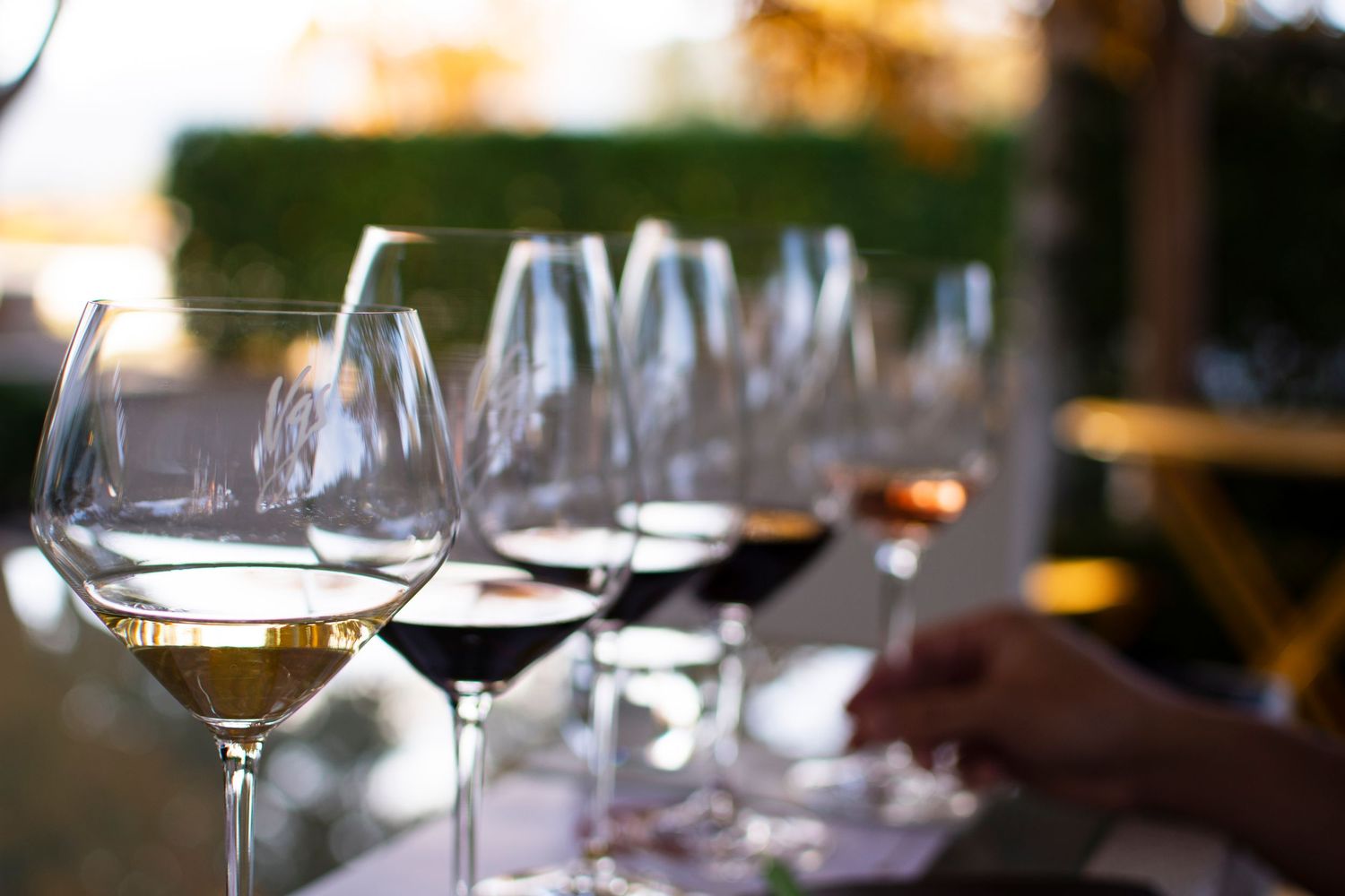 Wine glasses lined up on a dark table with soft focus lighting.