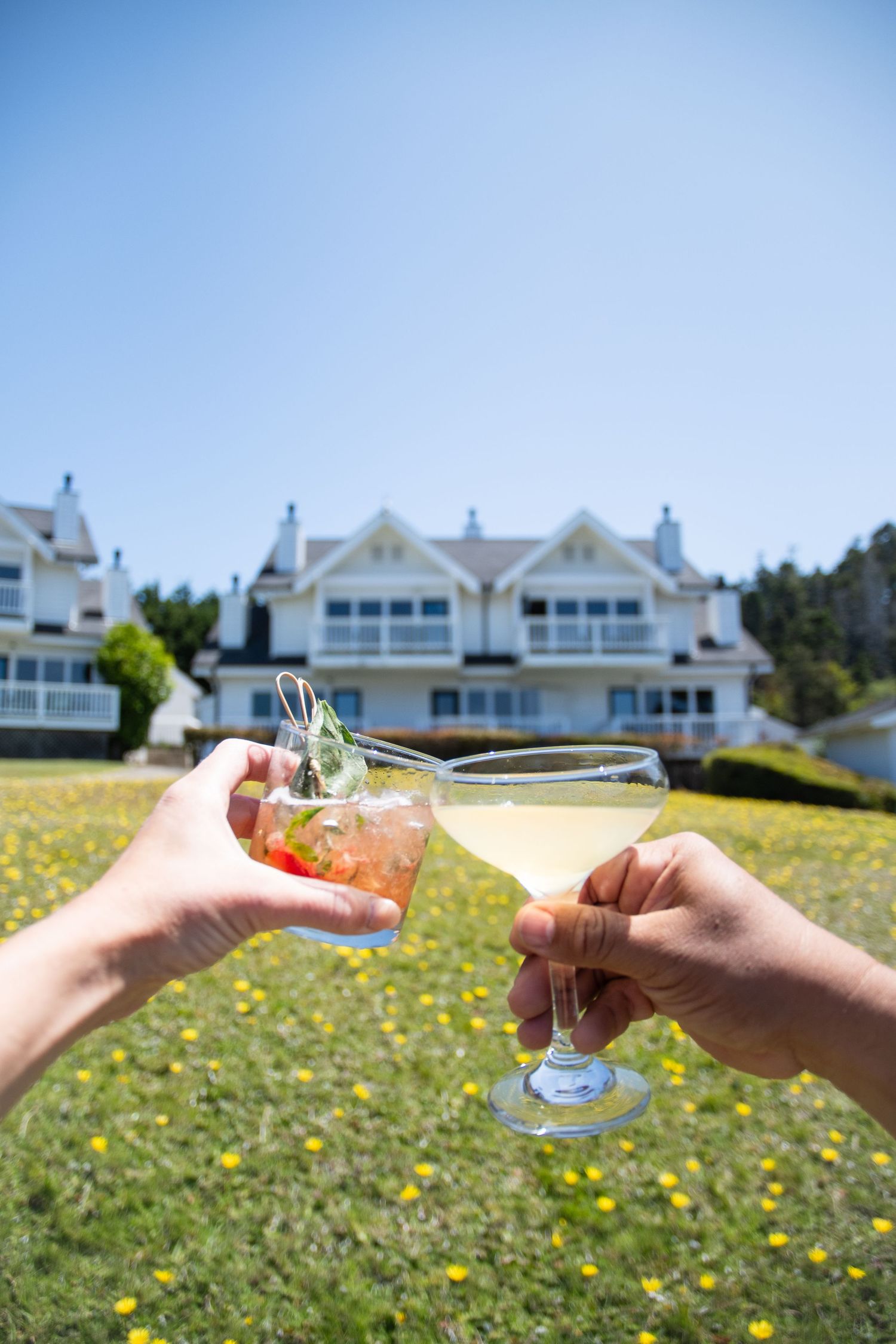 Two hands toasting wine glasses on a lawn with white coastal houses in the background.