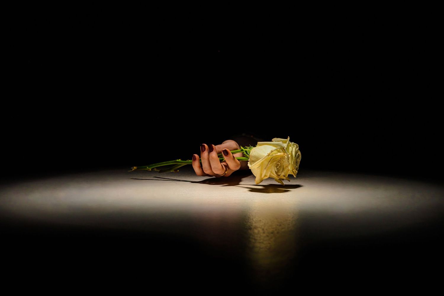 A wilted yellow rose lies on a dark stage floor illuminated by a single dramatic spotlight.
