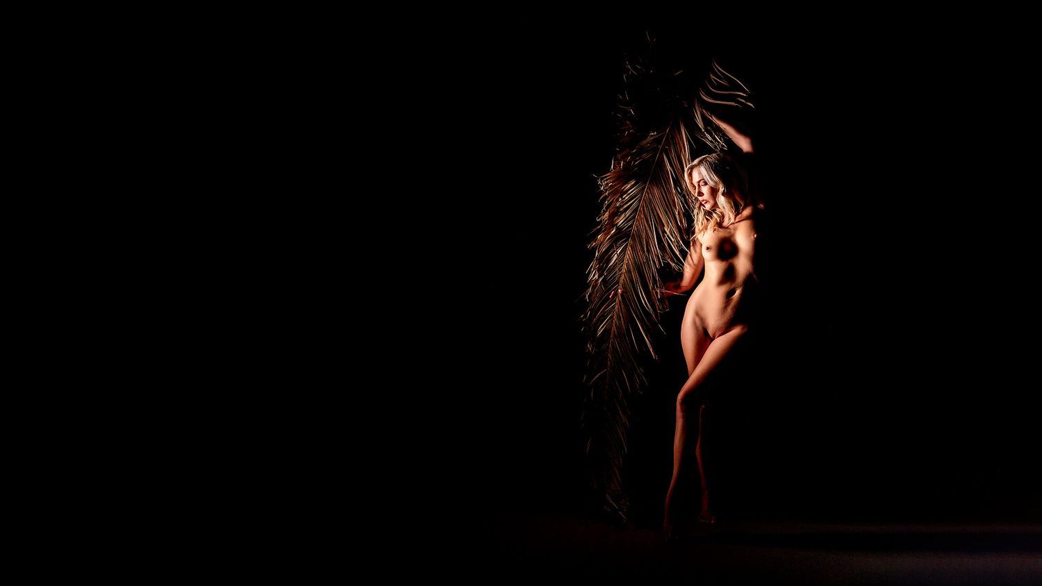 Silhouette of a dancer in a graceful pose against a dark background with dramatic lighting.