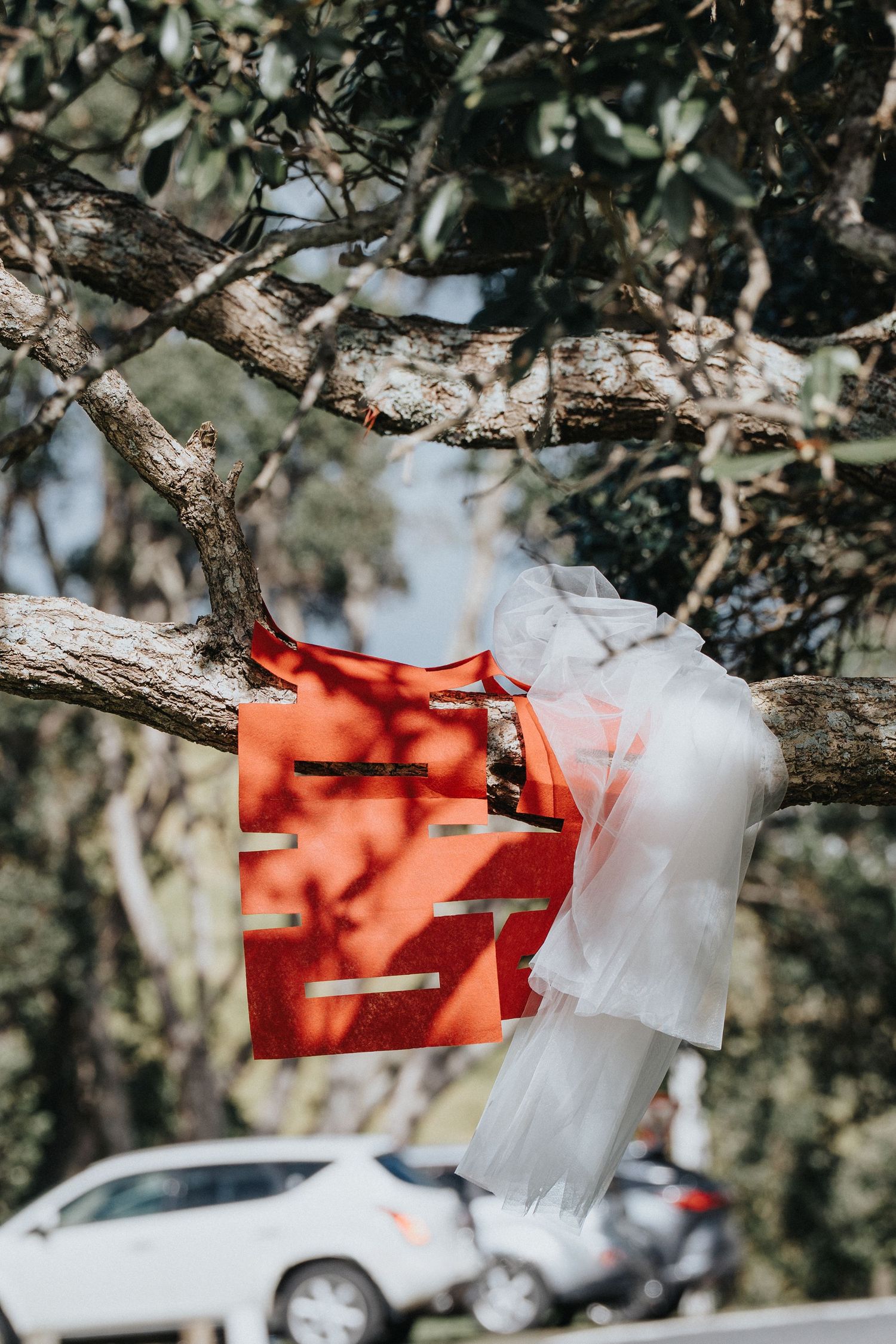 Romantic wedding photoshoot in Auckland with natural and cinematic style by Wesley Yan