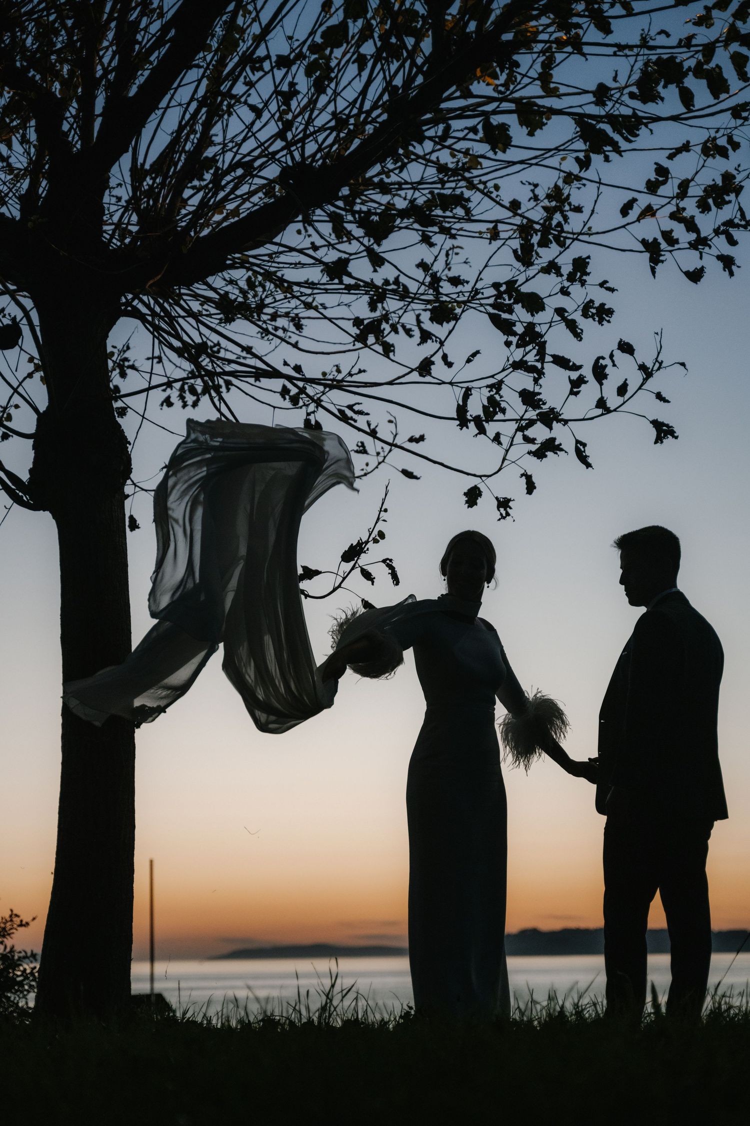 Silhouettes of wedding party members stand under trees against a dusky sunset sky by the waterfront.