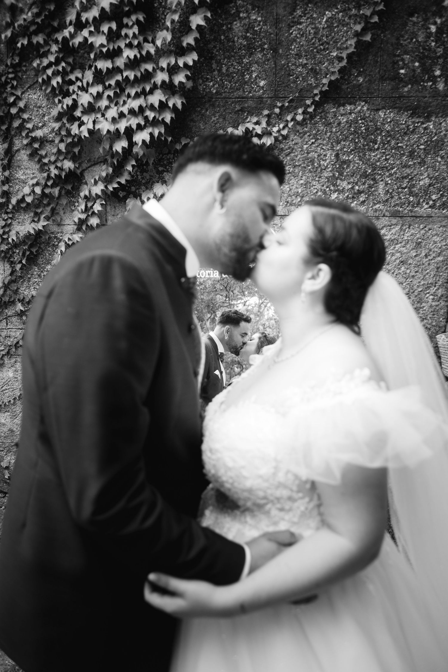 A black and white wedding photo sequence captures a couple's intimate kiss among ivy covered walls.