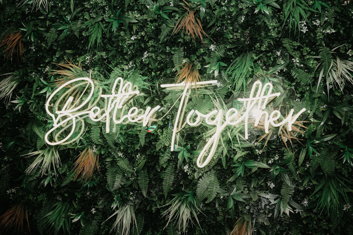 Glowing neon signs spelling romantic phrases mounted on a lush green foliage wall.