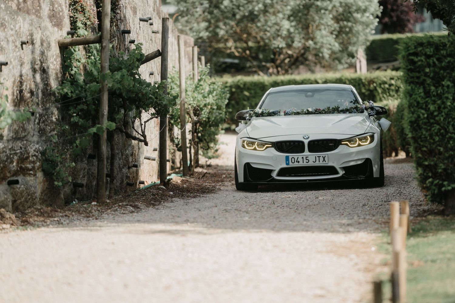 White BMW M4 parked in a lush garden setting with dappled sunlight filtering through trees.