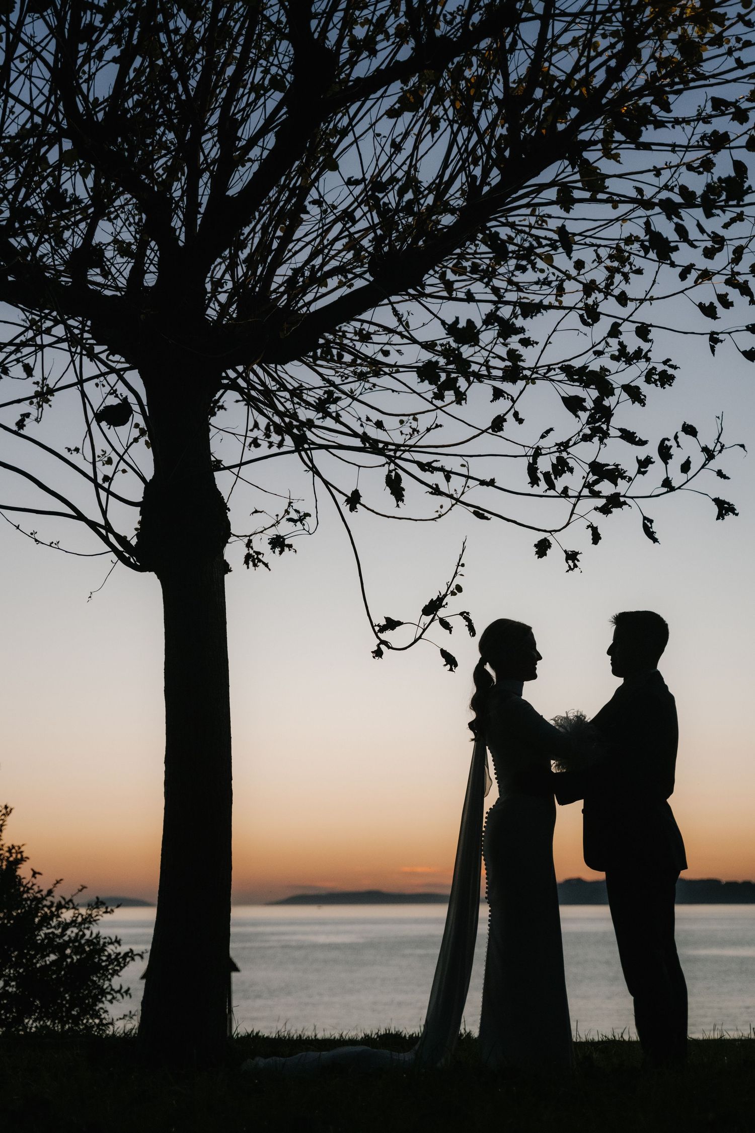 Silhouettes of a couple stand beneath tall trees against a serene waterfront sunset backdrop.