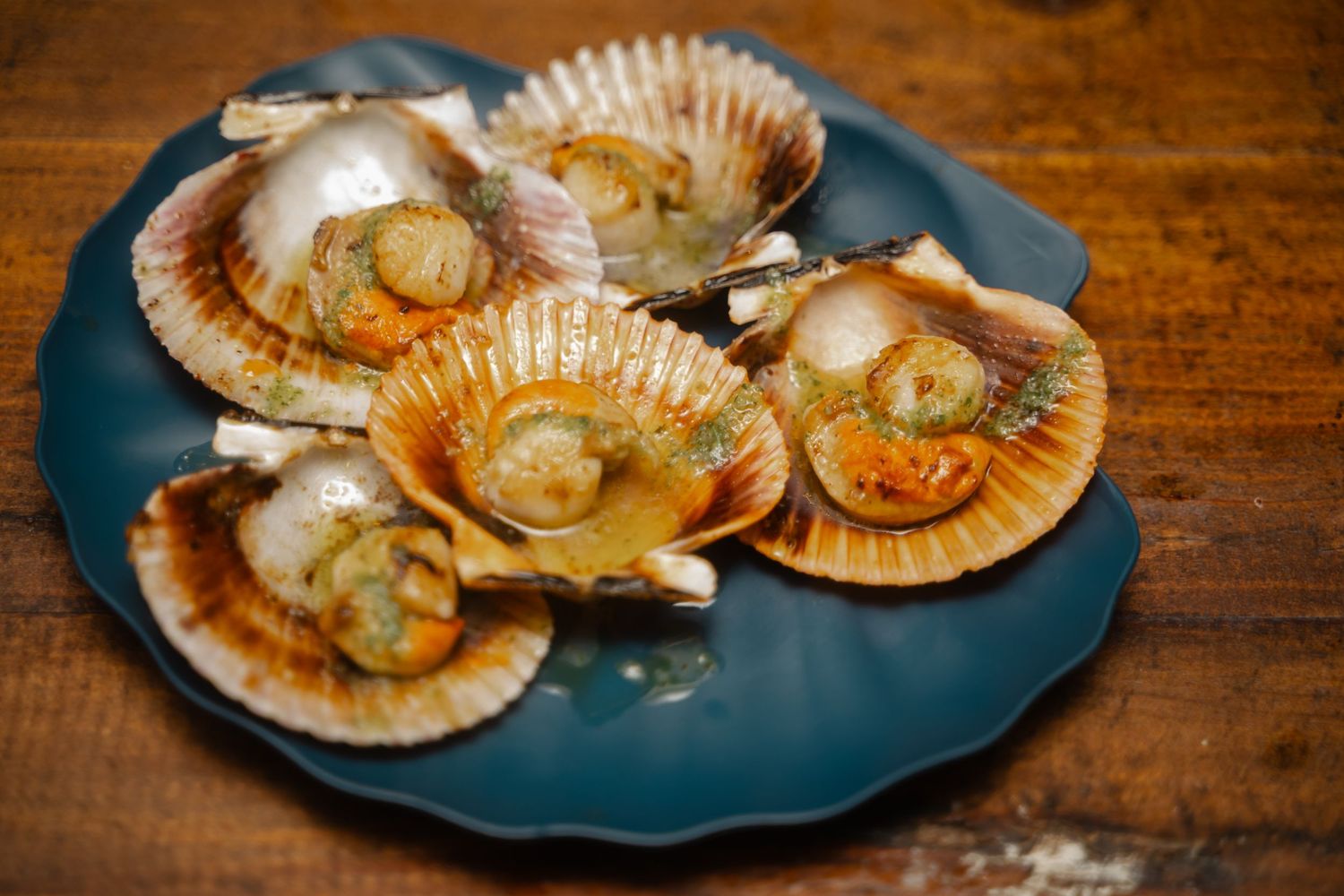 Fresh scallops served on a blue ceramic plate garnished with herbs and butter.