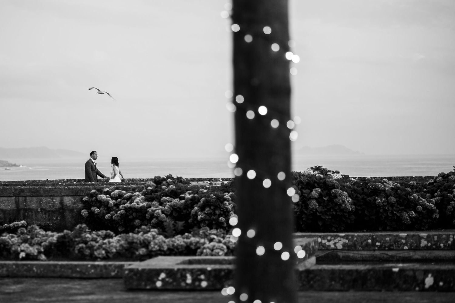 A black and white panoramic photo shows a lighthouse on a rocky coast with seagulls flying overhead.