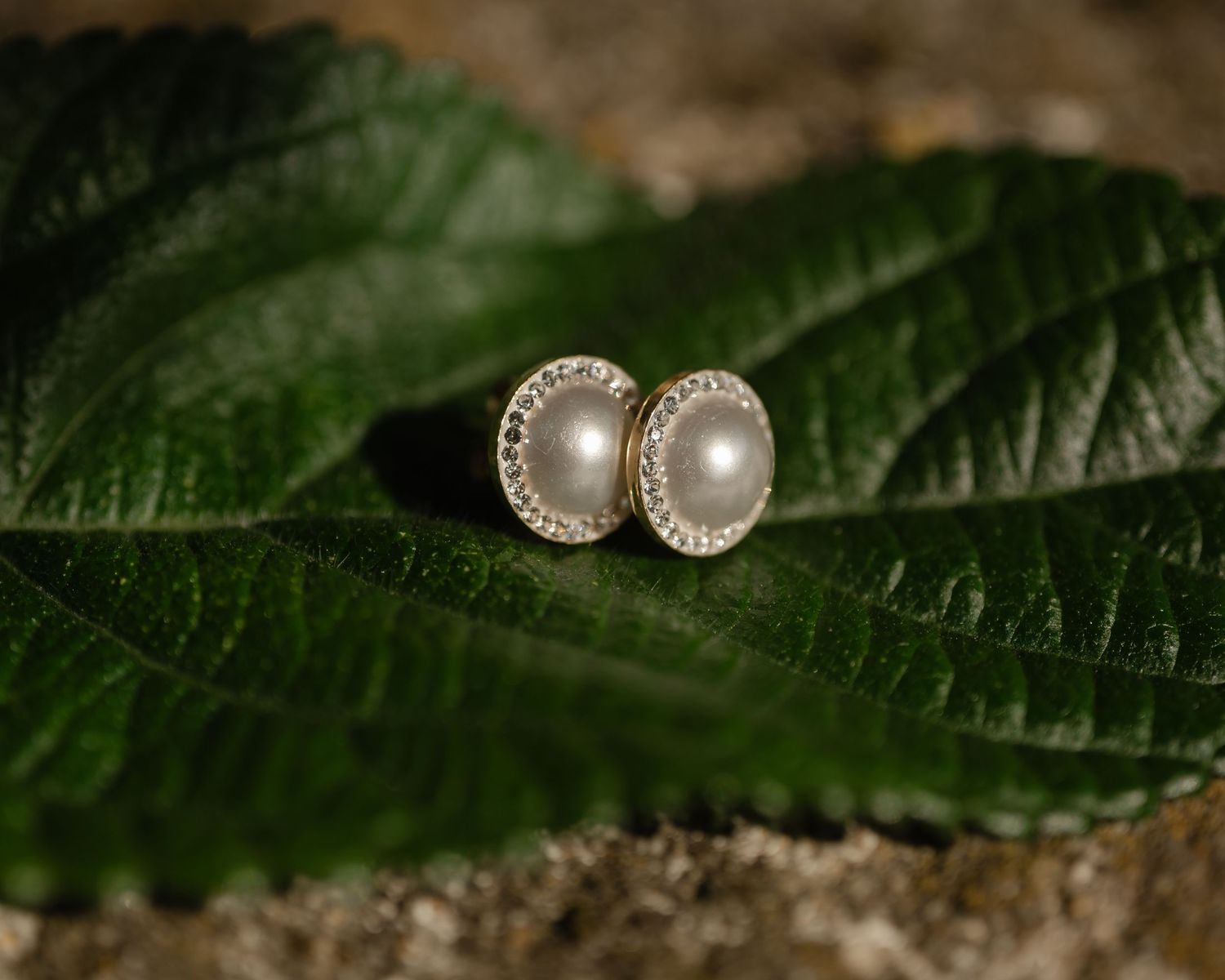 A pair of elegant pearl stud earrings resting on green leaves against a dark textured background.