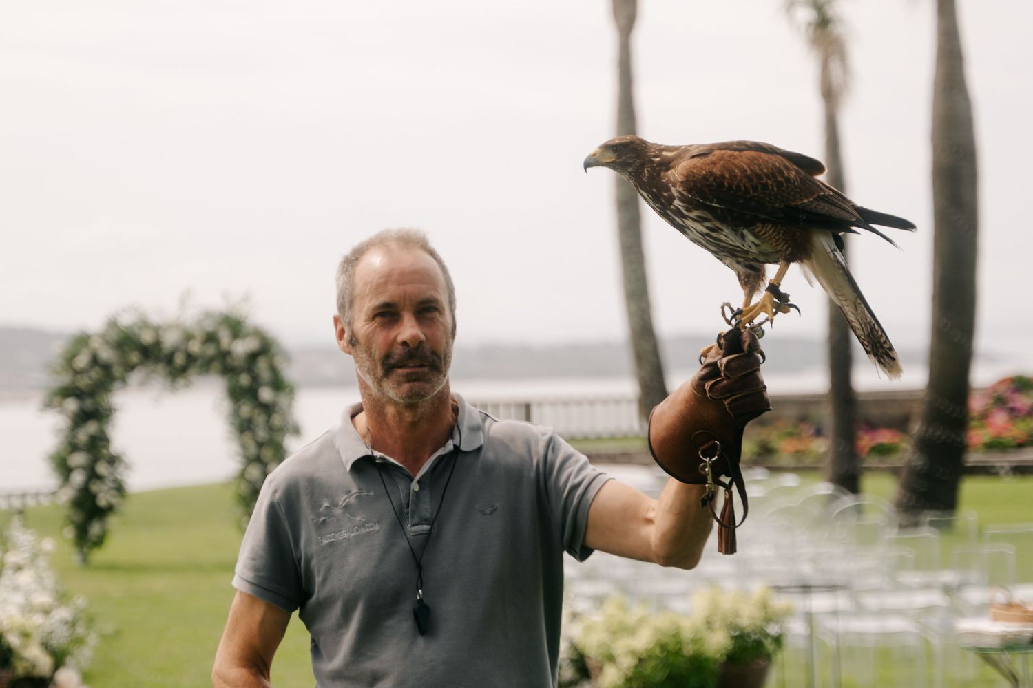 A falconer holds a majestic bird of prey perched on their gloved hand during an outdoor training session.