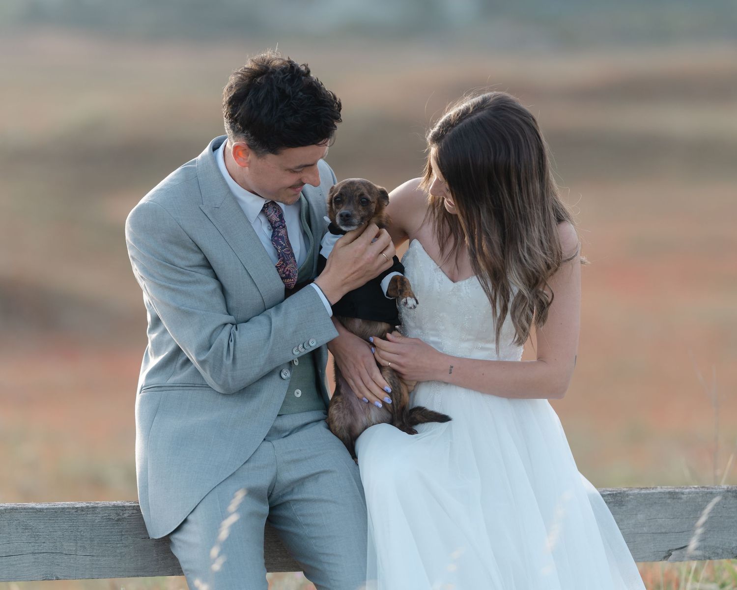 Couple in wedding attire sitting on a fence holding a small puppy in an outdoor field setting.