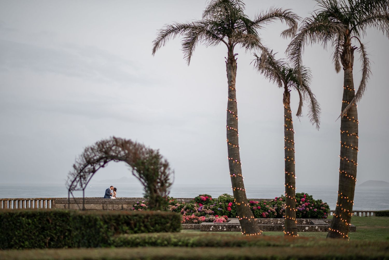 A row of palm trees line a coastal path against a cloudy sky with a rustic wooden fence in the foreground.