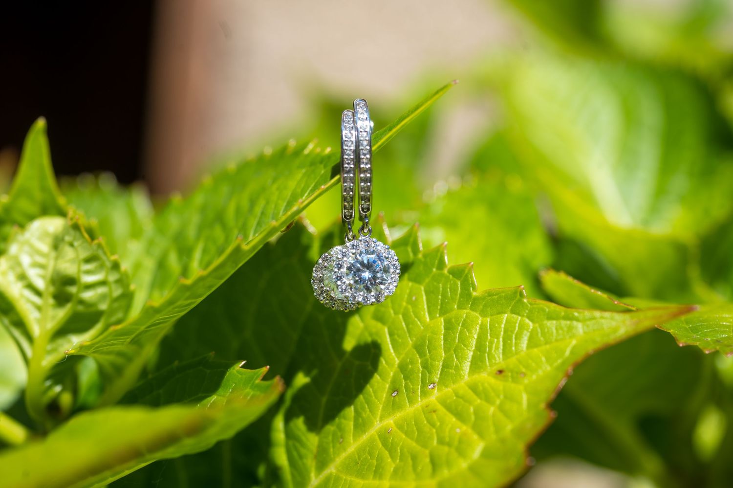 Diamond engagement ring sparkles against vibrant green grape leaves in natural sunlight.