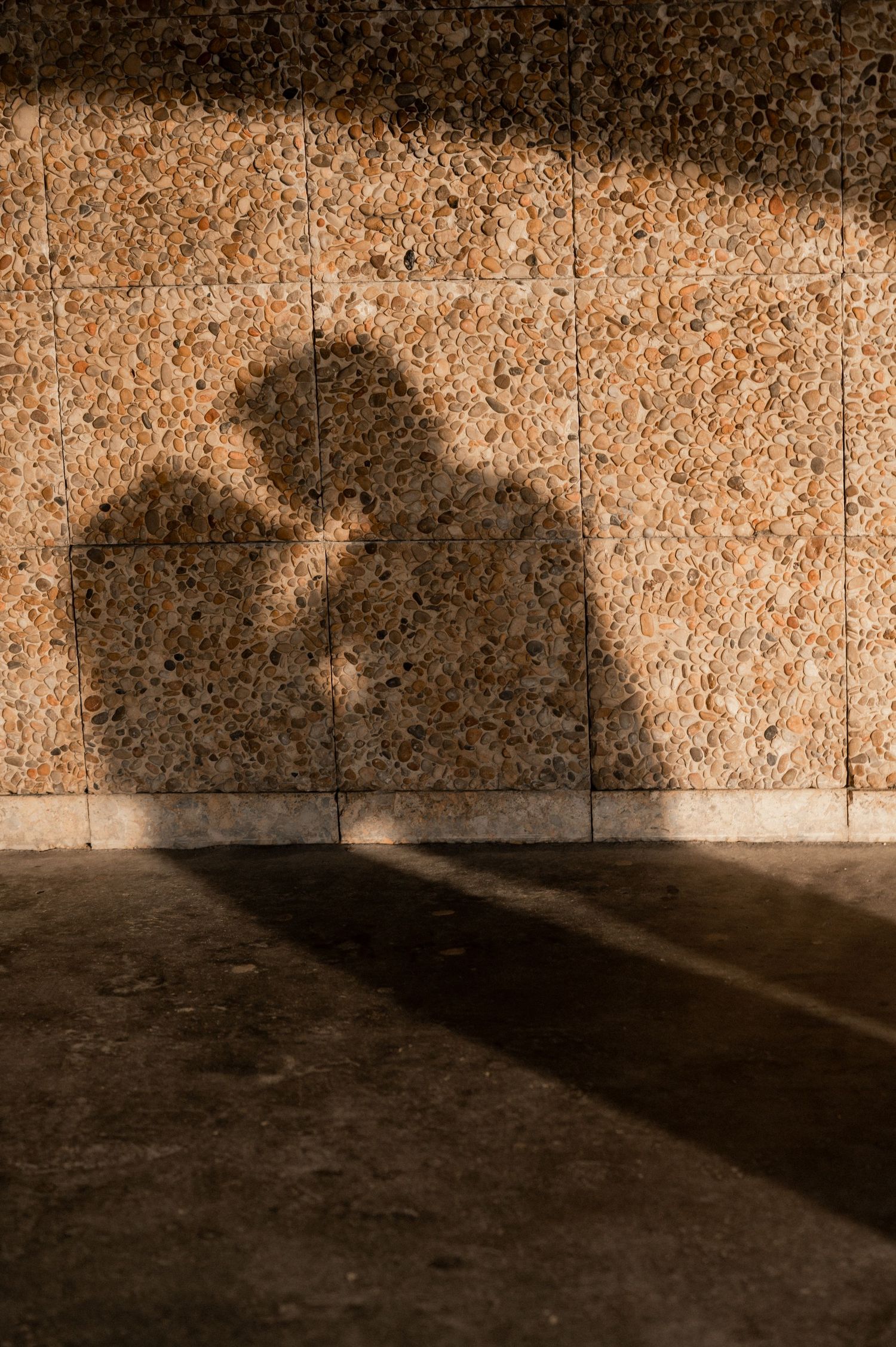 Artistic shadows cast on a textured wall create an abstract pattern in sepia tones.