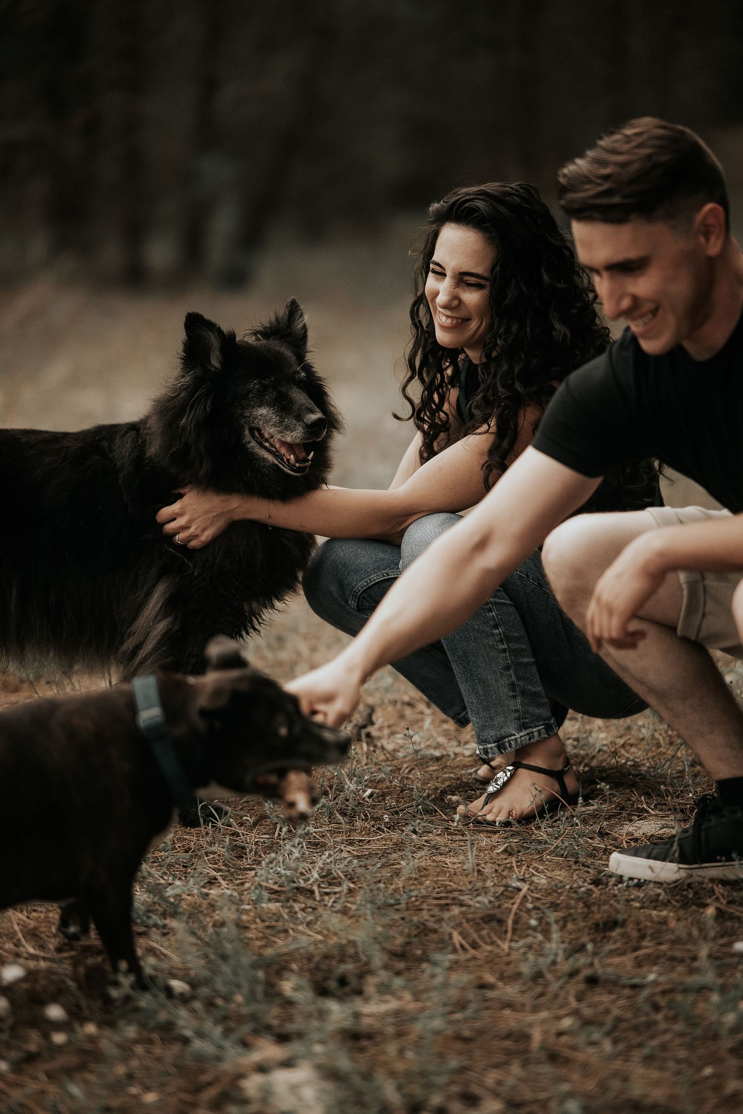 A playful interaction between a person and a black dog on fallen leaves in a moody outdoor setting.