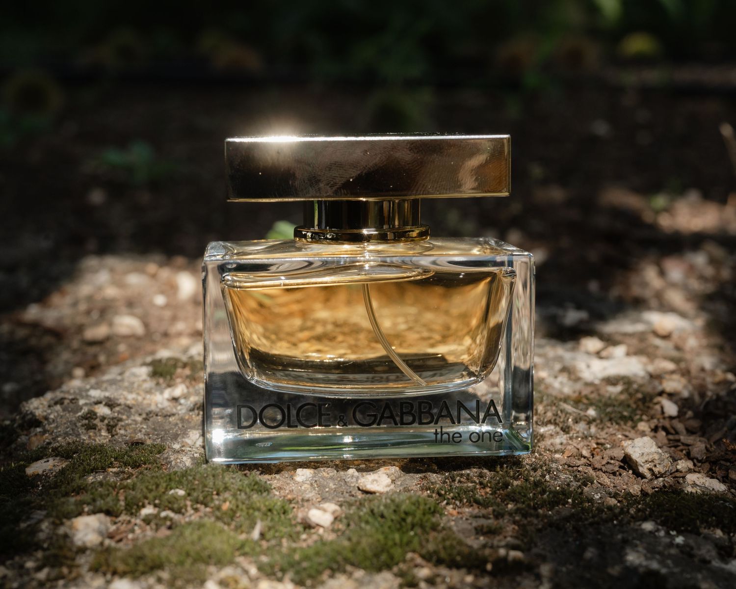 Luxury perfume bottles from Dolce & Gabbana displayed on a textured stone surface in dramatic lighting.