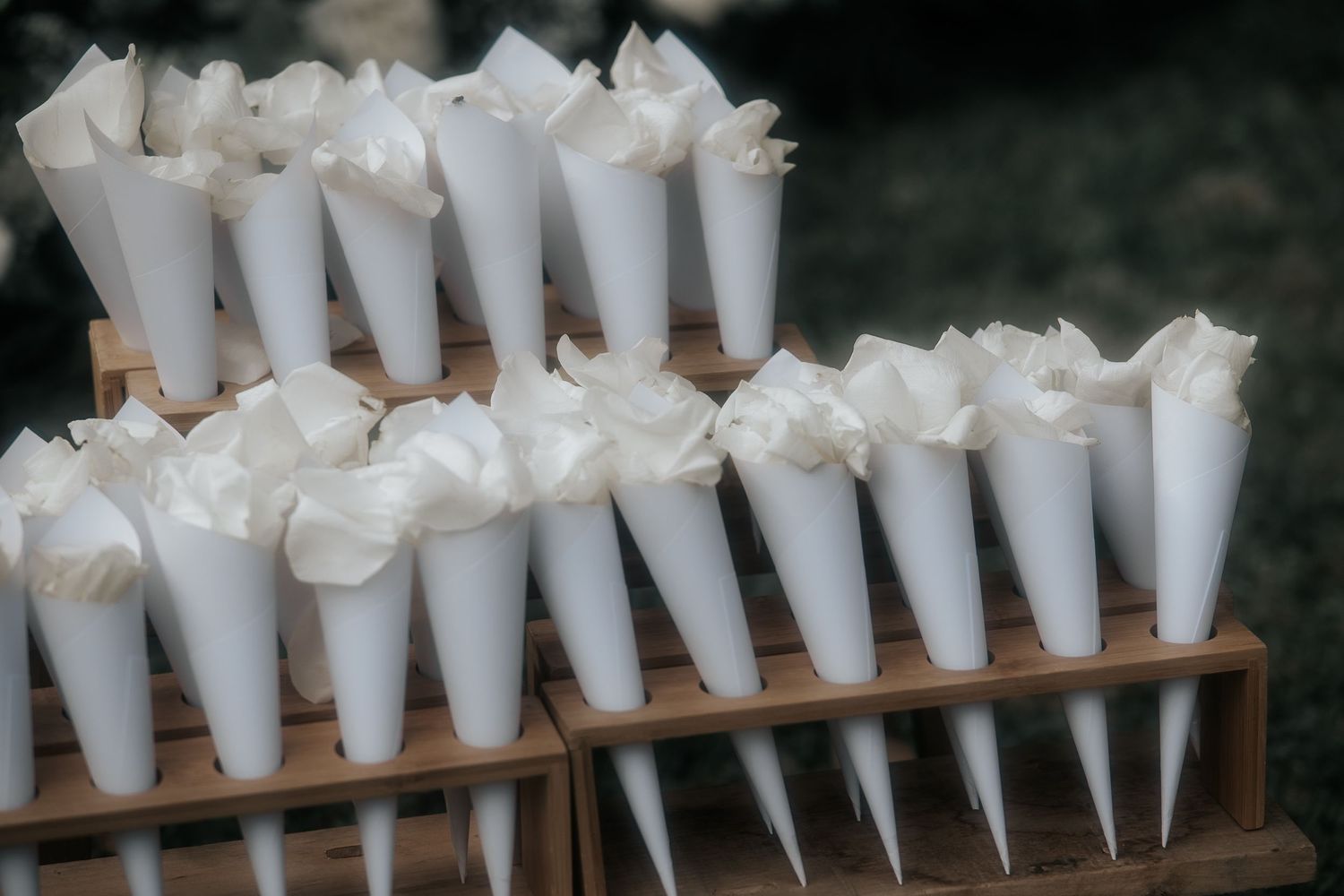 White paper cones filled with confetti or petals are arranged neatly in rows on a wooden display stand.