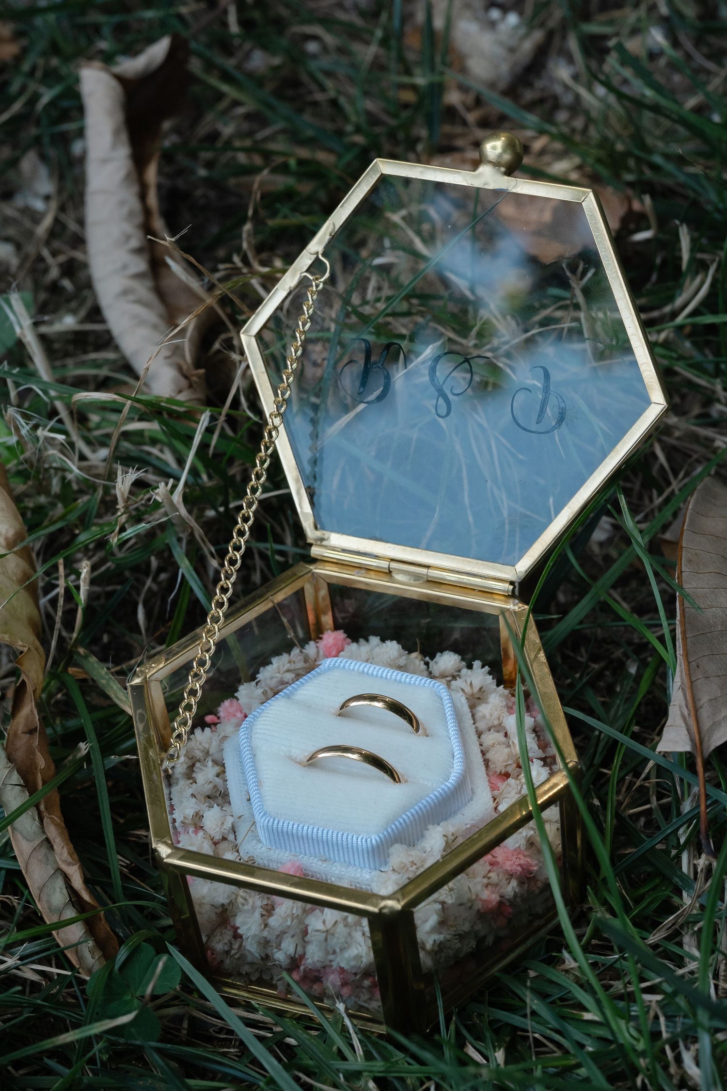 A vintage hexagonal glass jewelry box with brass trim sits nestled among foliage and grass outdoors.