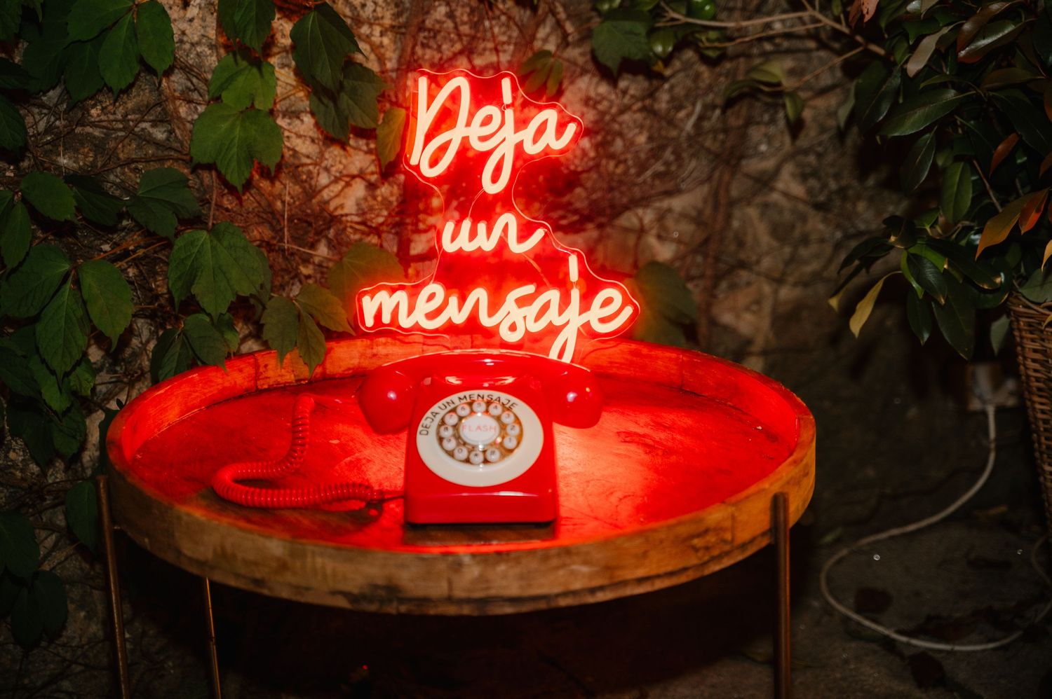 Red neon signs illuminated at night with decorative foliage creating an ambient atmosphere.