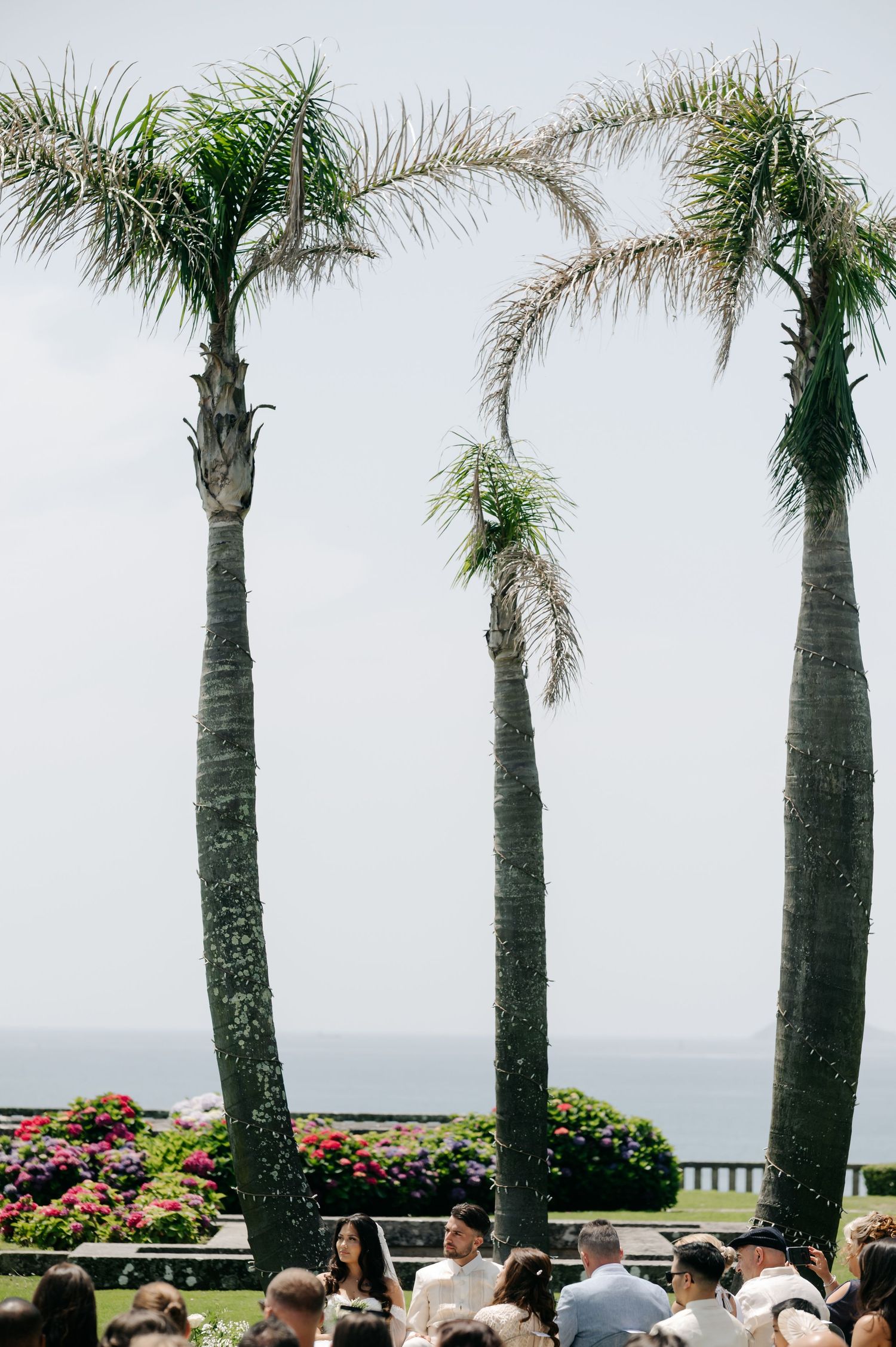 Row of tall palm trees line an oceanfront wedding ceremony setup with white chairs and colorful floral arrangements.