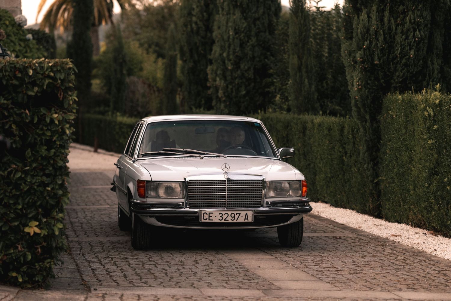 A vintage Mercedes-Benz sedan parked on a brick driveway with cypress trees in the background at dusk.