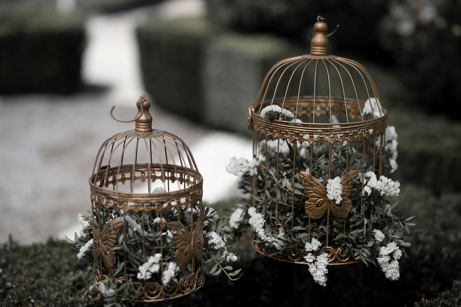 Decorative vintage bronze birdcages adorned with white flowers create an elegant garden display against a dark background.