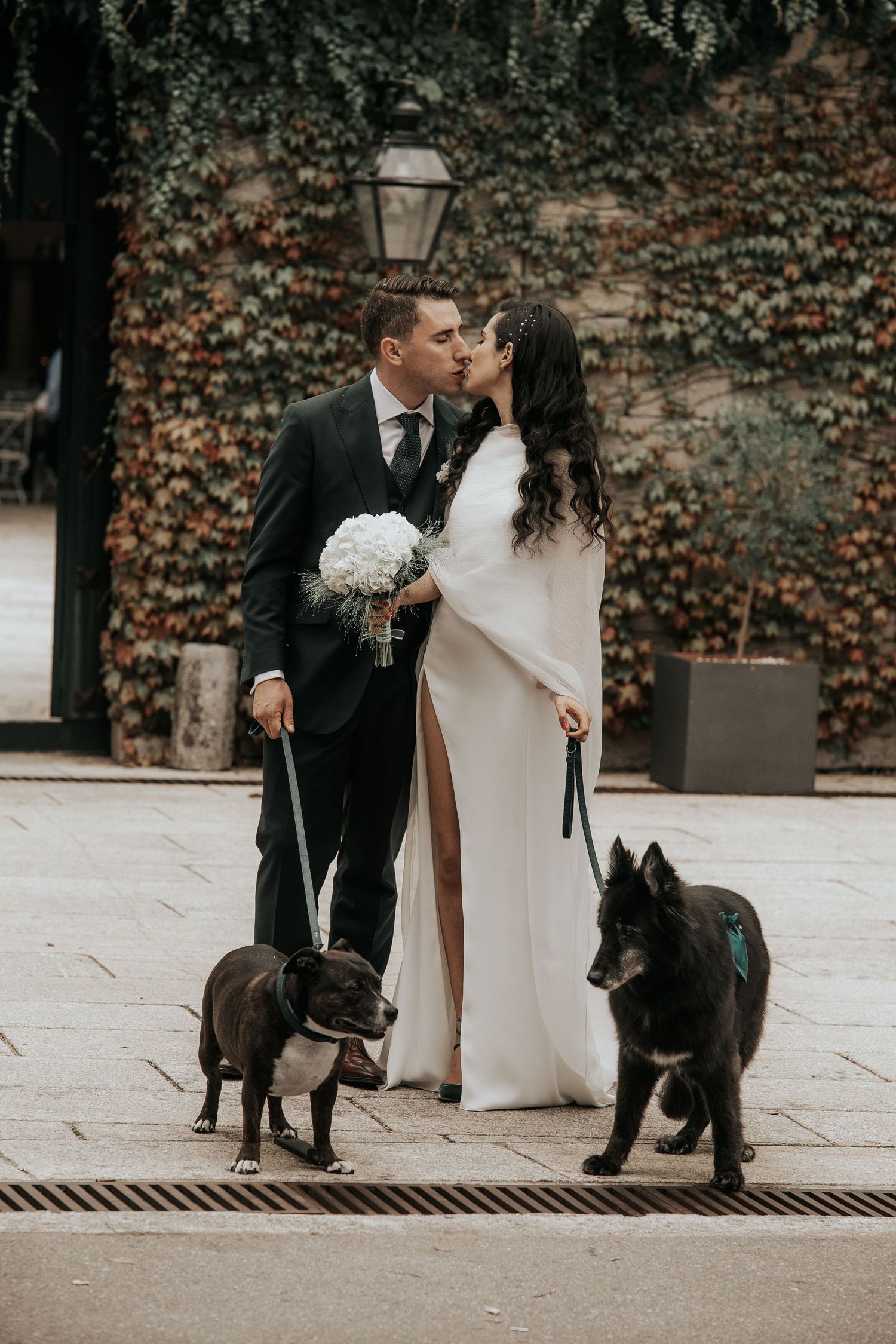 A couple in wedding attire poses with their black dog on a paved walkway with ivy-covered walls.