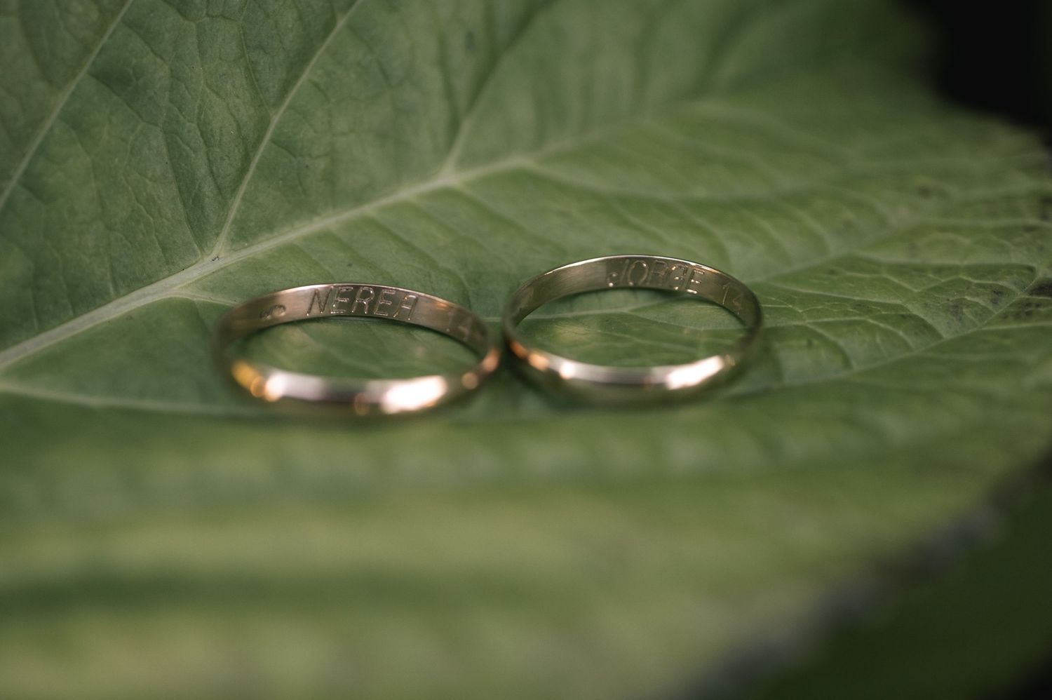 Two gold wedding bands rest on a green leaf with detailed vein patterns in soft focus.