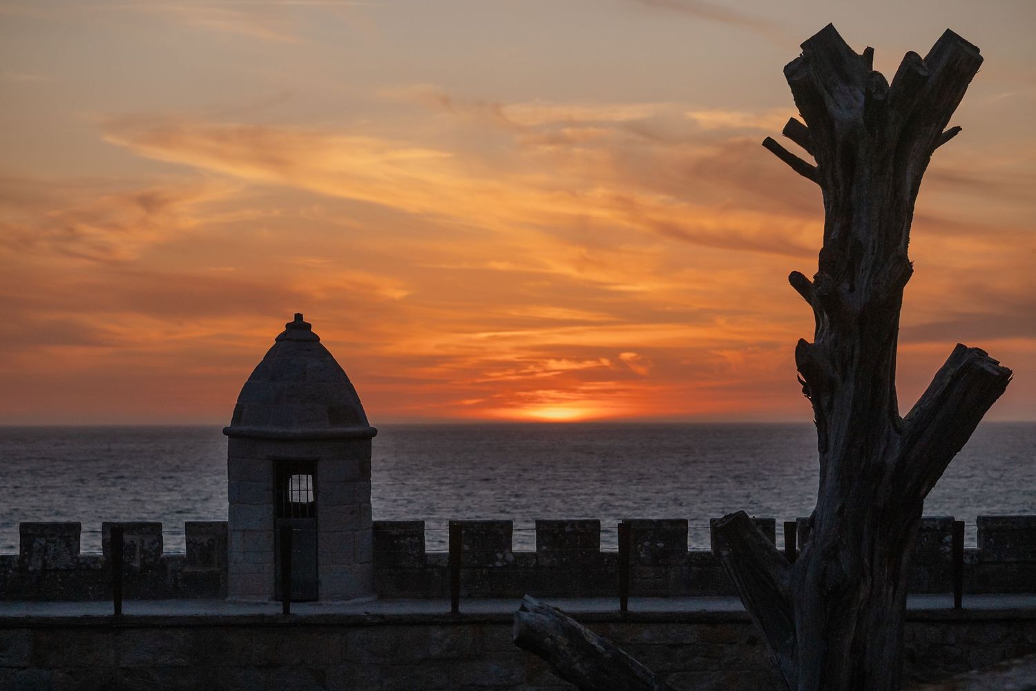 Dramatic orange and purple sunset sky over the ocean with silhouetted palm trees and buildings in the foreground.