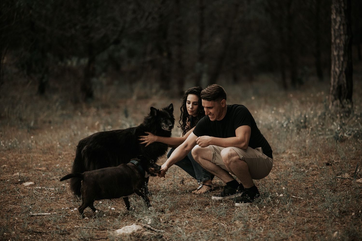 Person in black clothing crouches down to interact with two black dogs in a forest setting.