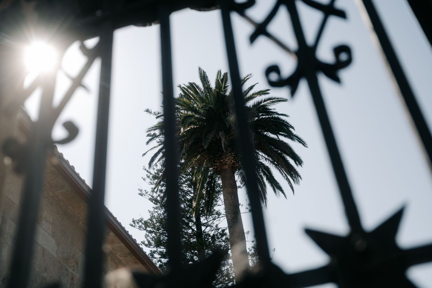 Silhouetted palm trees against a bright sky with architectural details in the foreground.