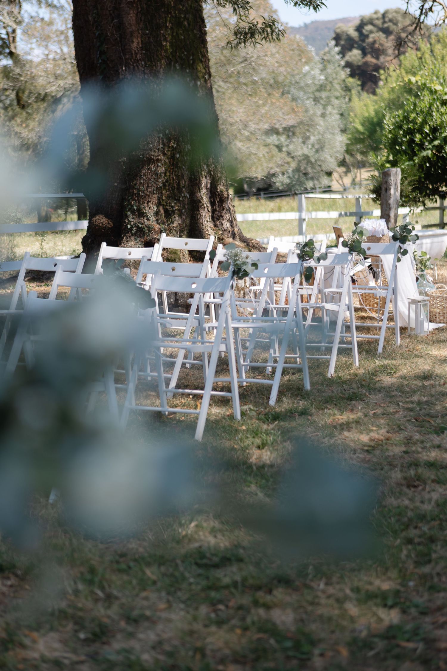 White wooden chairs arranged outdoors for a garden wedding ceremony under tall trees.