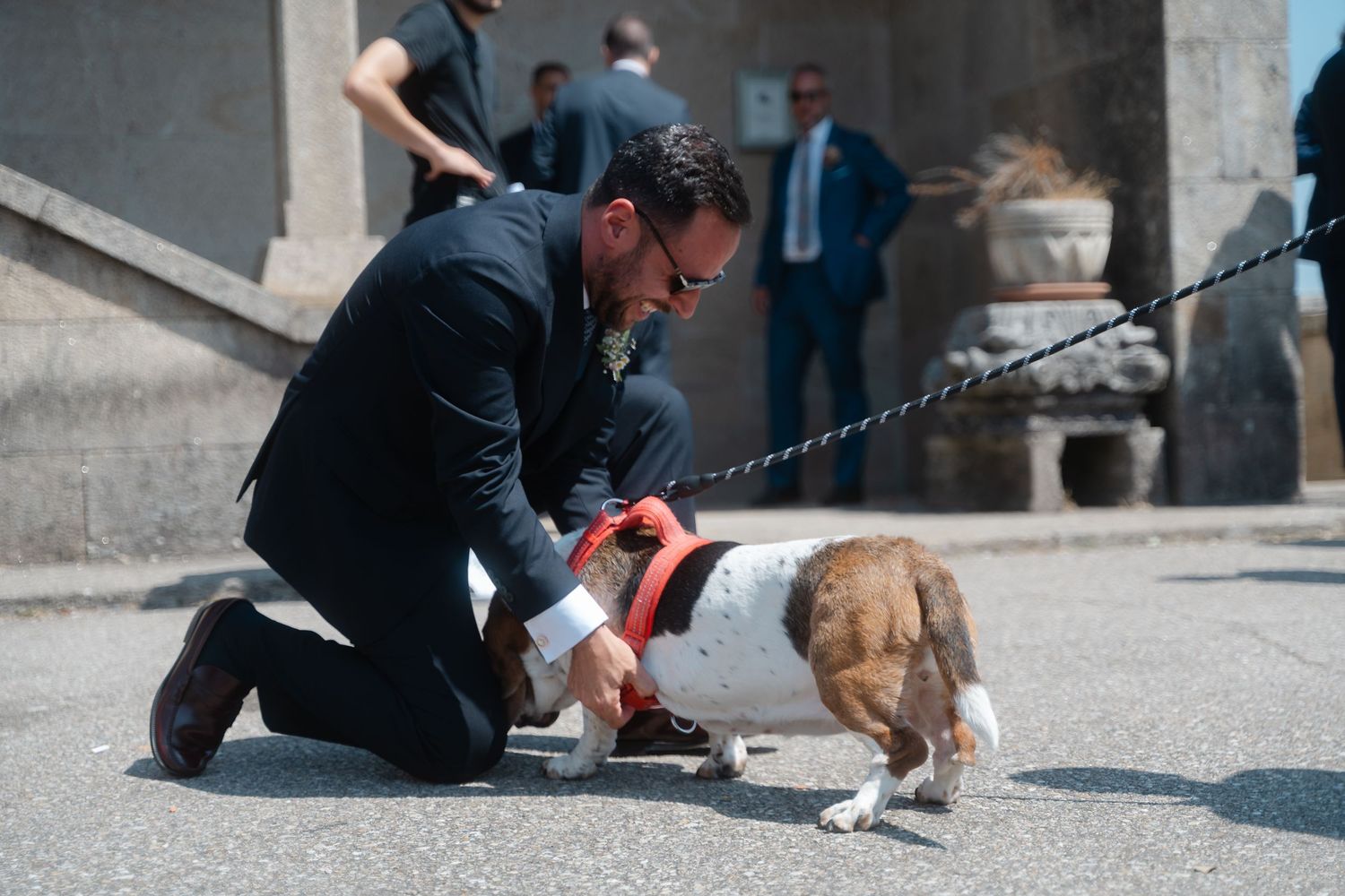 A person in dark clothing crouches down to pet a brown dog on a sunny urban sidewalk.