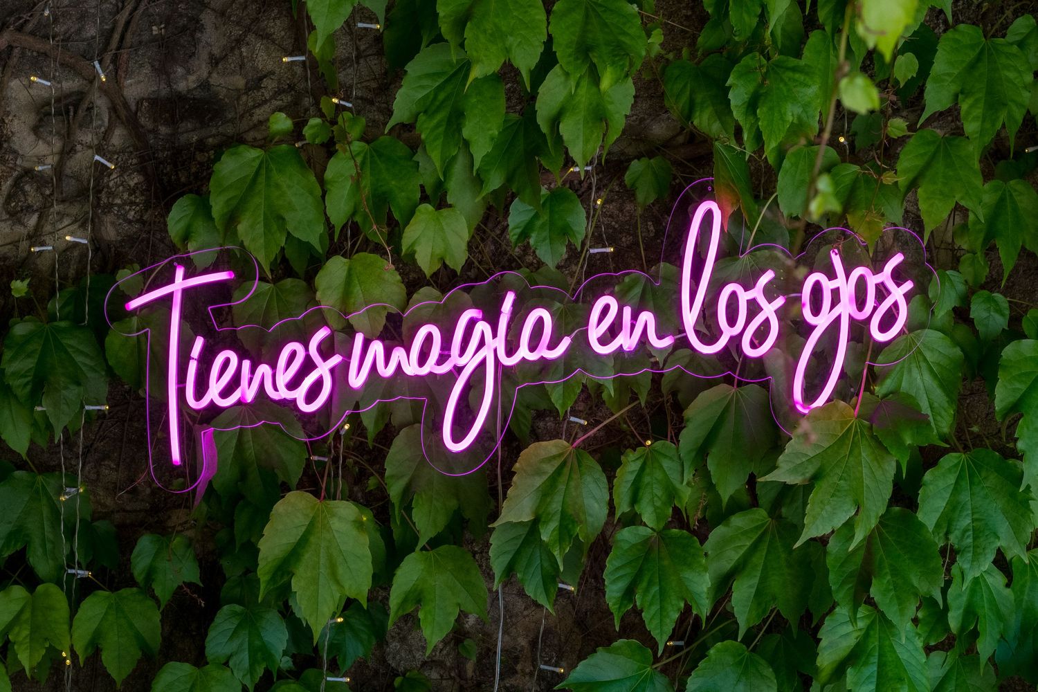 Pink neon sign glowing against a backdrop of lush green ivy on a wall.