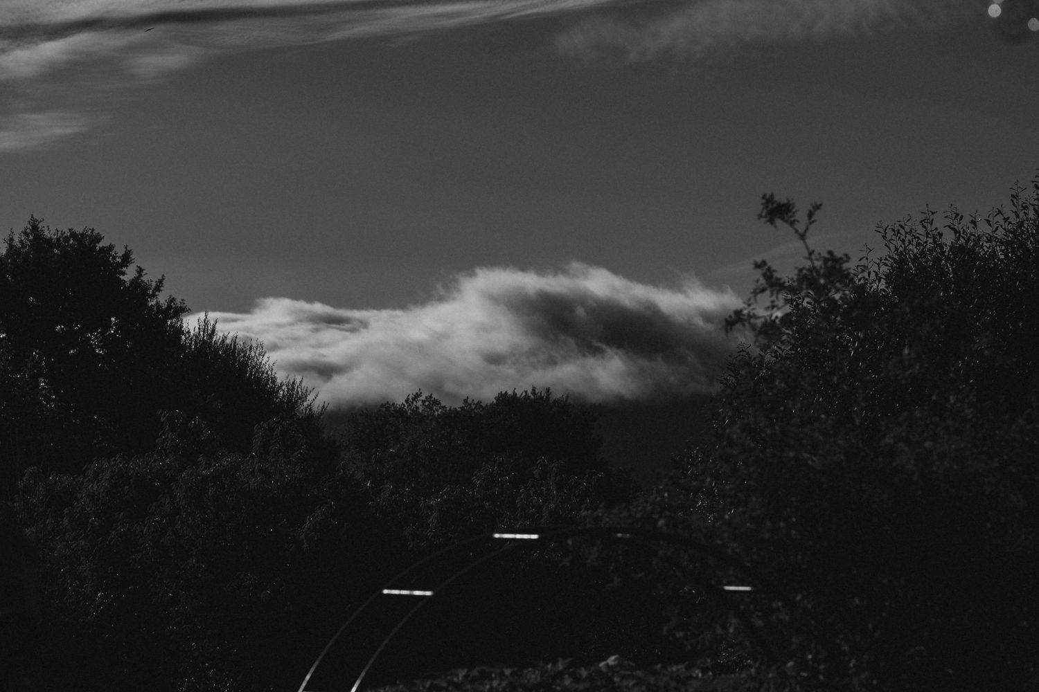 A moody black and white railway track disappears into dark tree silhouettes under dramatic cloudy skies.