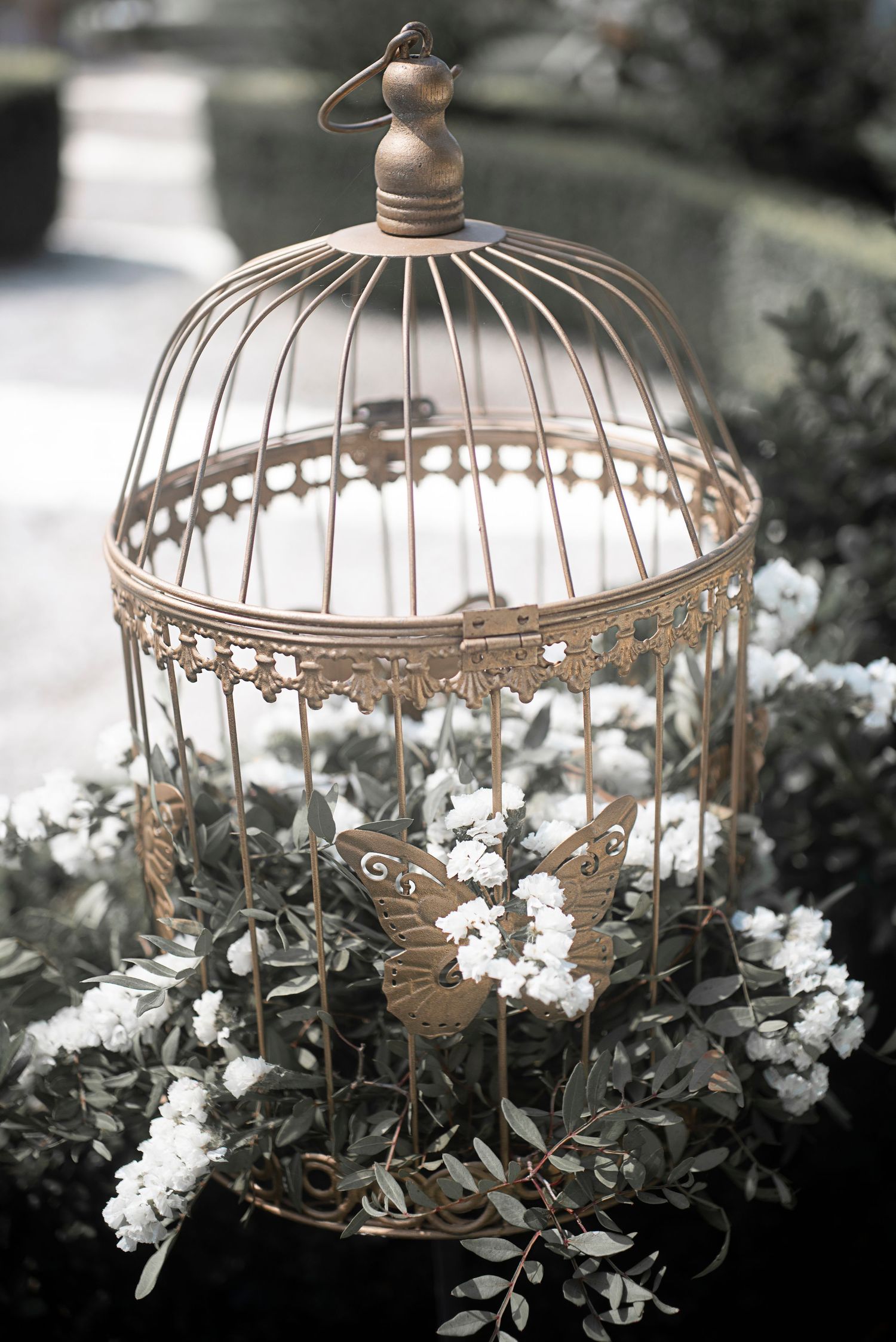 A decorative white birdcage adorned with delicate white flowers and foliage creates a romantic garden scene.