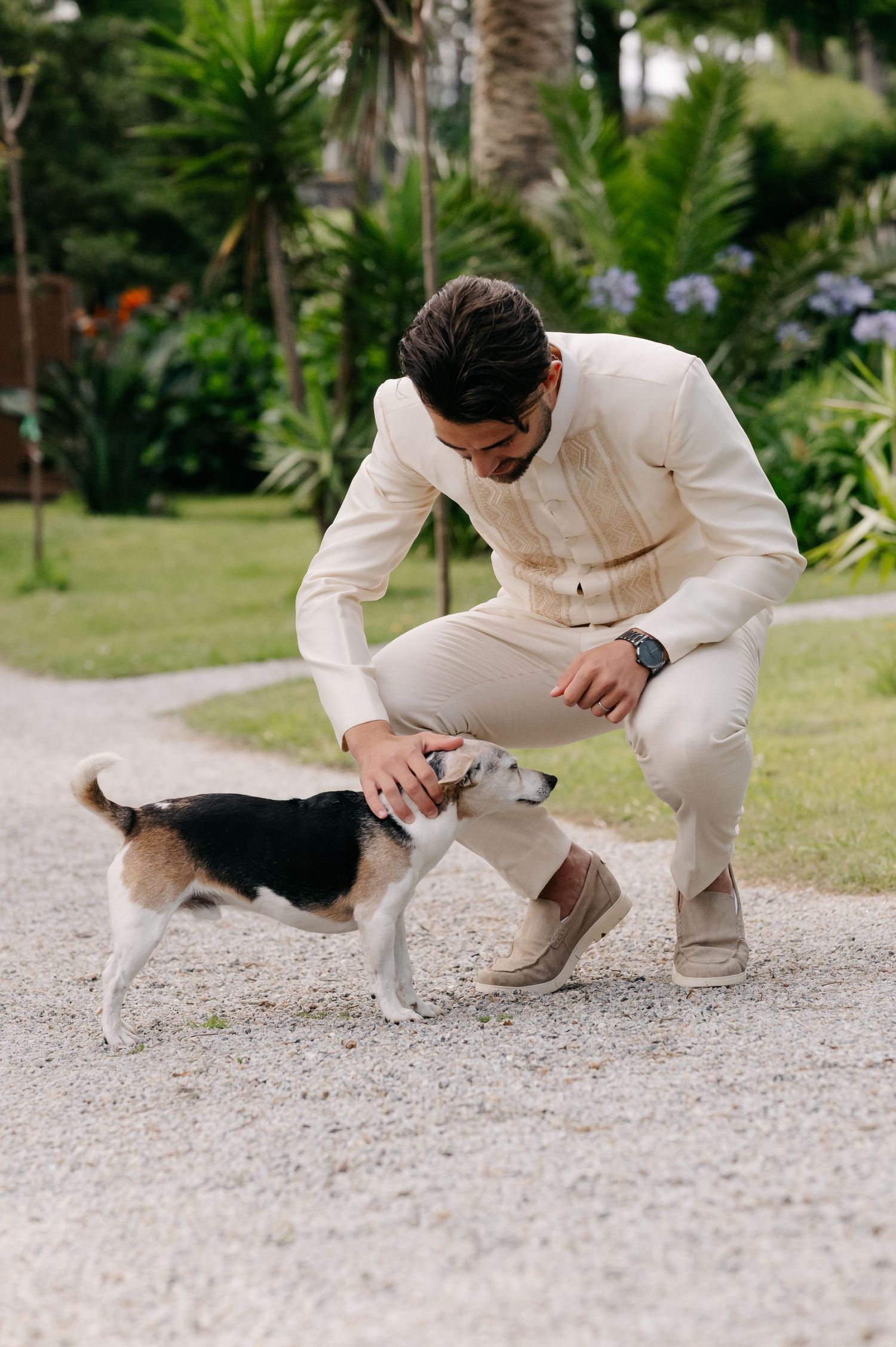 Someone in a cream-colored outfit crouches down to pet a black and white beagle on a garden path surrounded by palm trees.