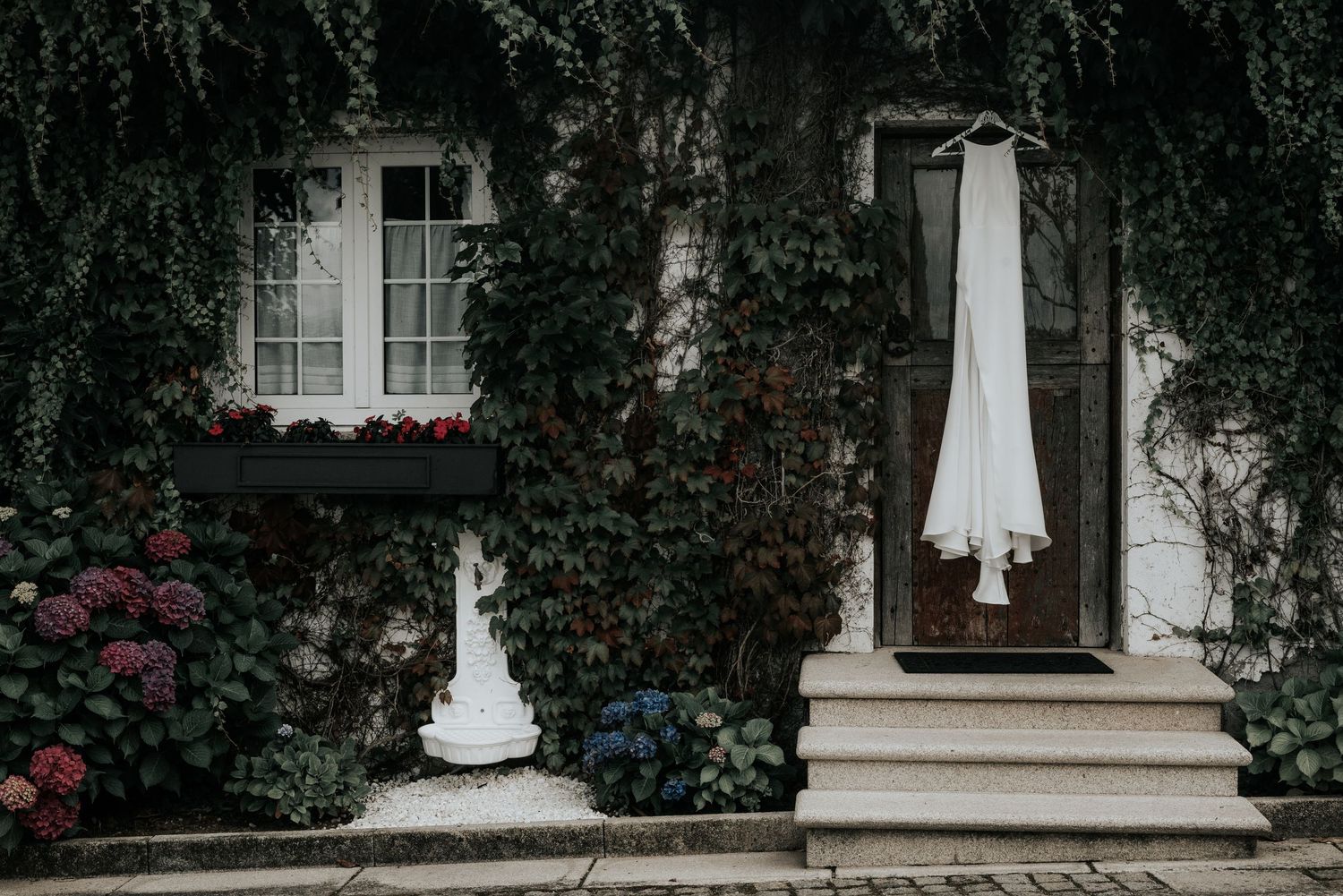 White wedding gown displayed outside a charming cottage with climbing roses and window shutters.