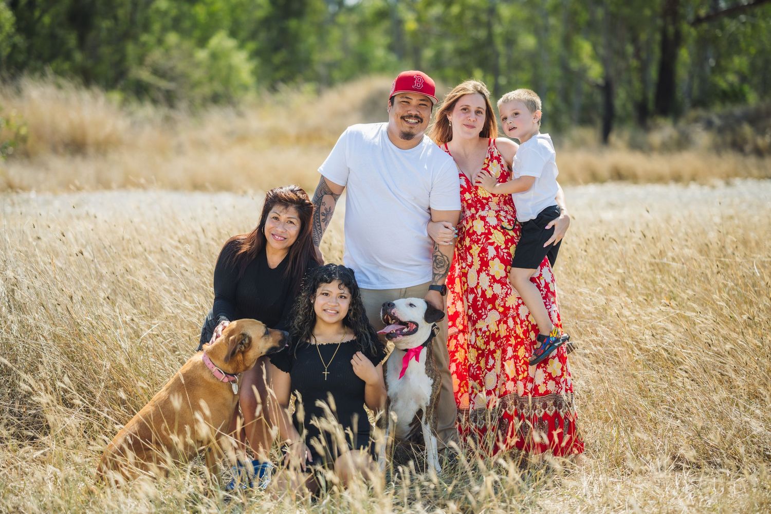 Family with Dogs