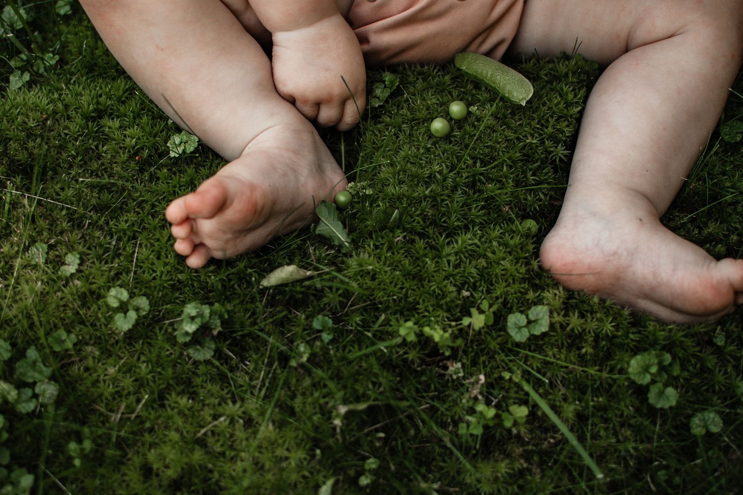 Wausau, Eau Claire, Chippewa Falls , Wisconsin Wedding | Family | Newborn Photography. Family Portraits. Children Portrait.
