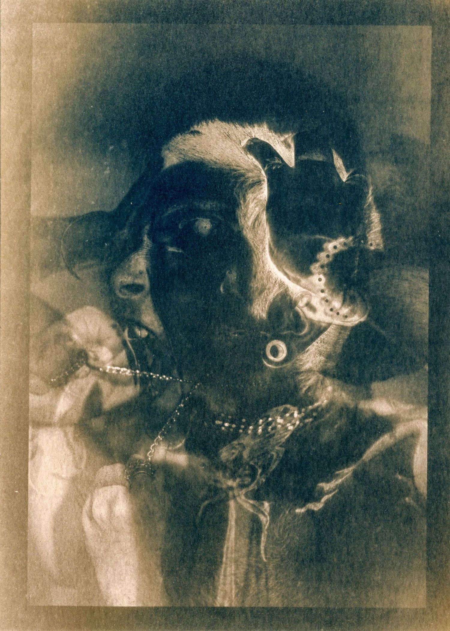 Cyanotype, bleached and toned with coffee